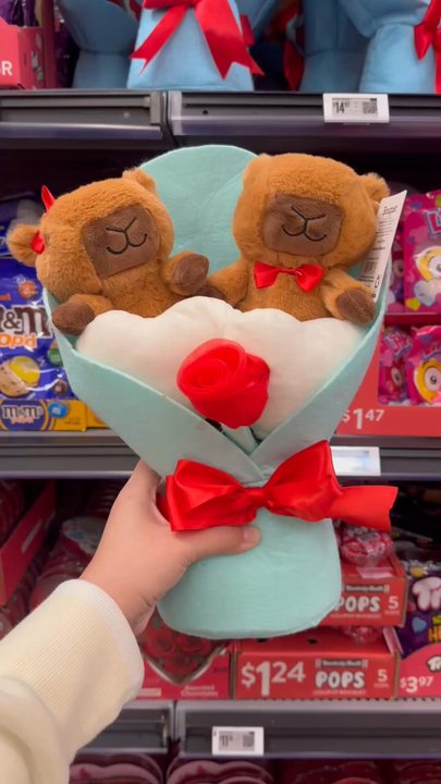 Walmart Supercenter - Capibaras 3 - Grocery Near Me - Downey, California
