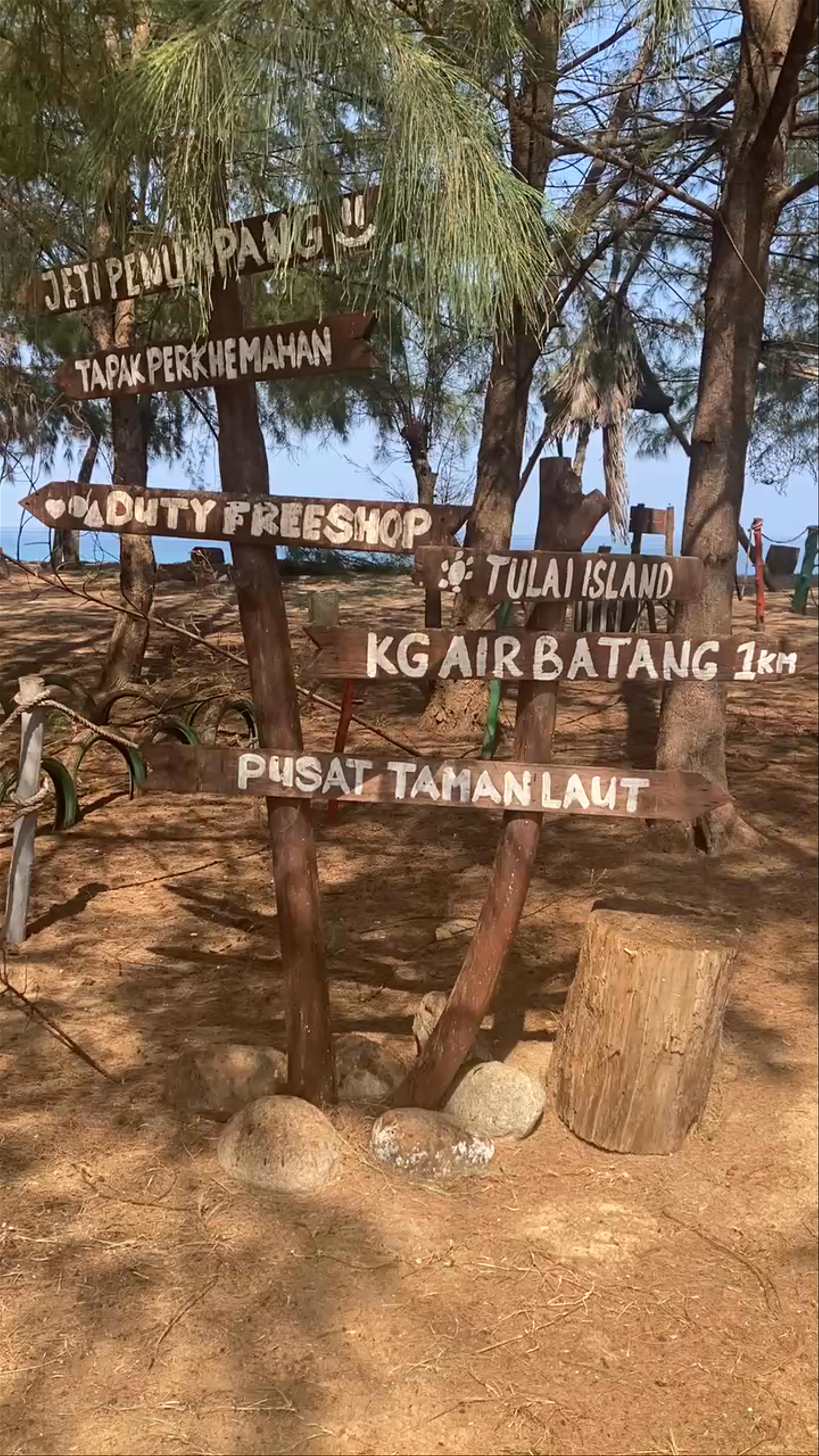 Flying Fox Viewing Point on Tioman Island: A Nature Lover's Paradise