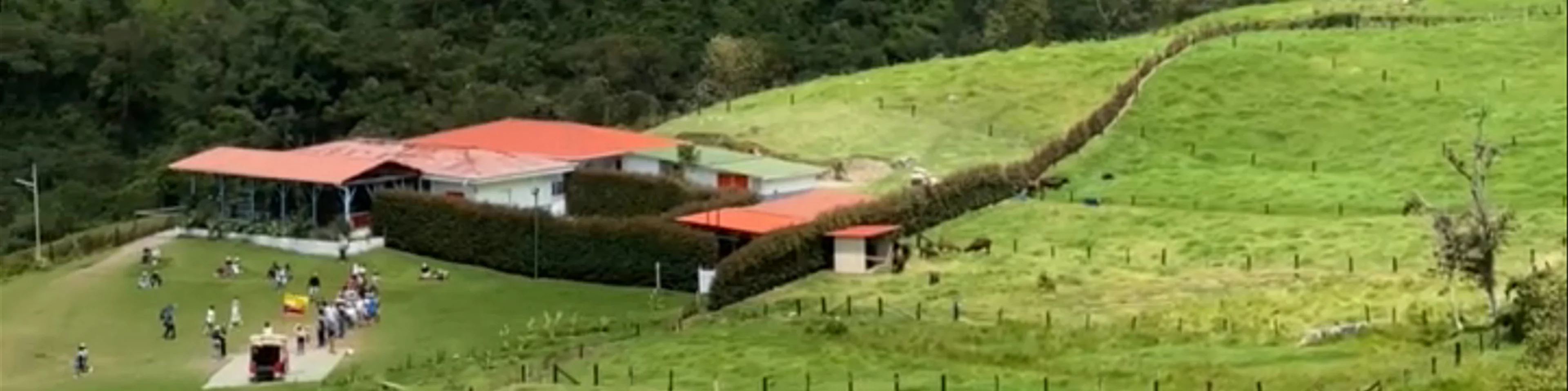 Valle del Cocora