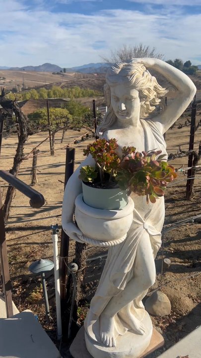 Churon Winery - Winter time (February 3,2025) - Wineries Near Me - Temecula, California
