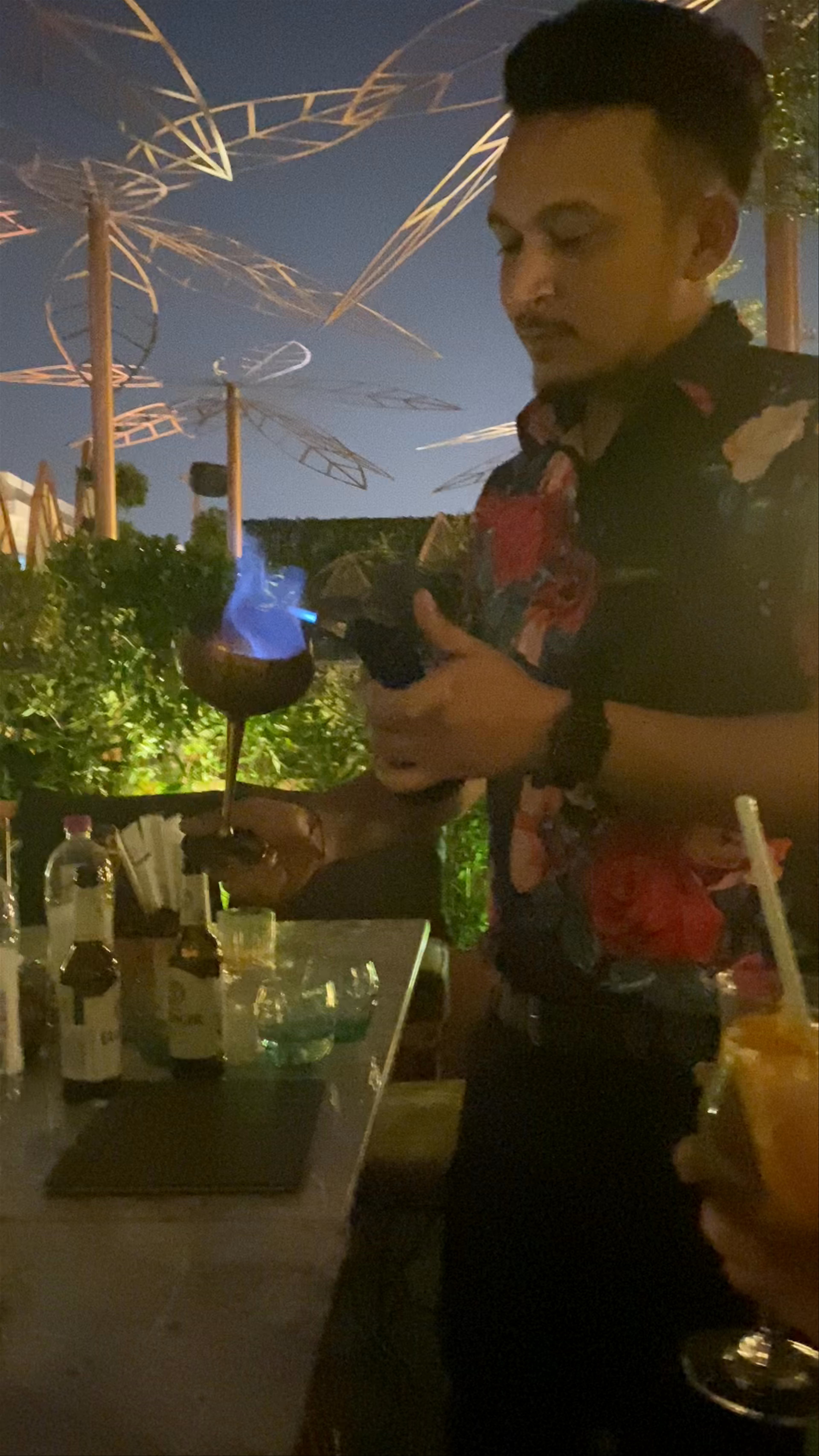 Aviary - Cocktail Nest