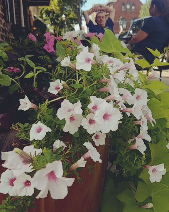 The Corner - Cool breeze today! Perfect for outdoor brunch! - Breakfast & Brunch Near Me - Media, Pennsylvania