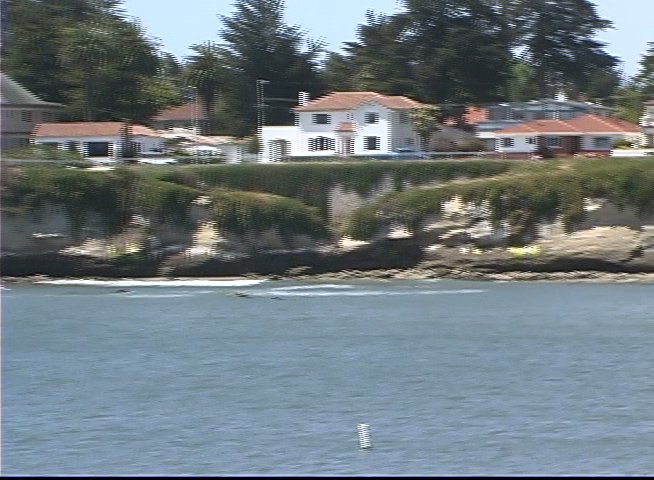 A surfing expert provides commentary while reviewing footage of waves breaking along a scenic coastal cliffside.