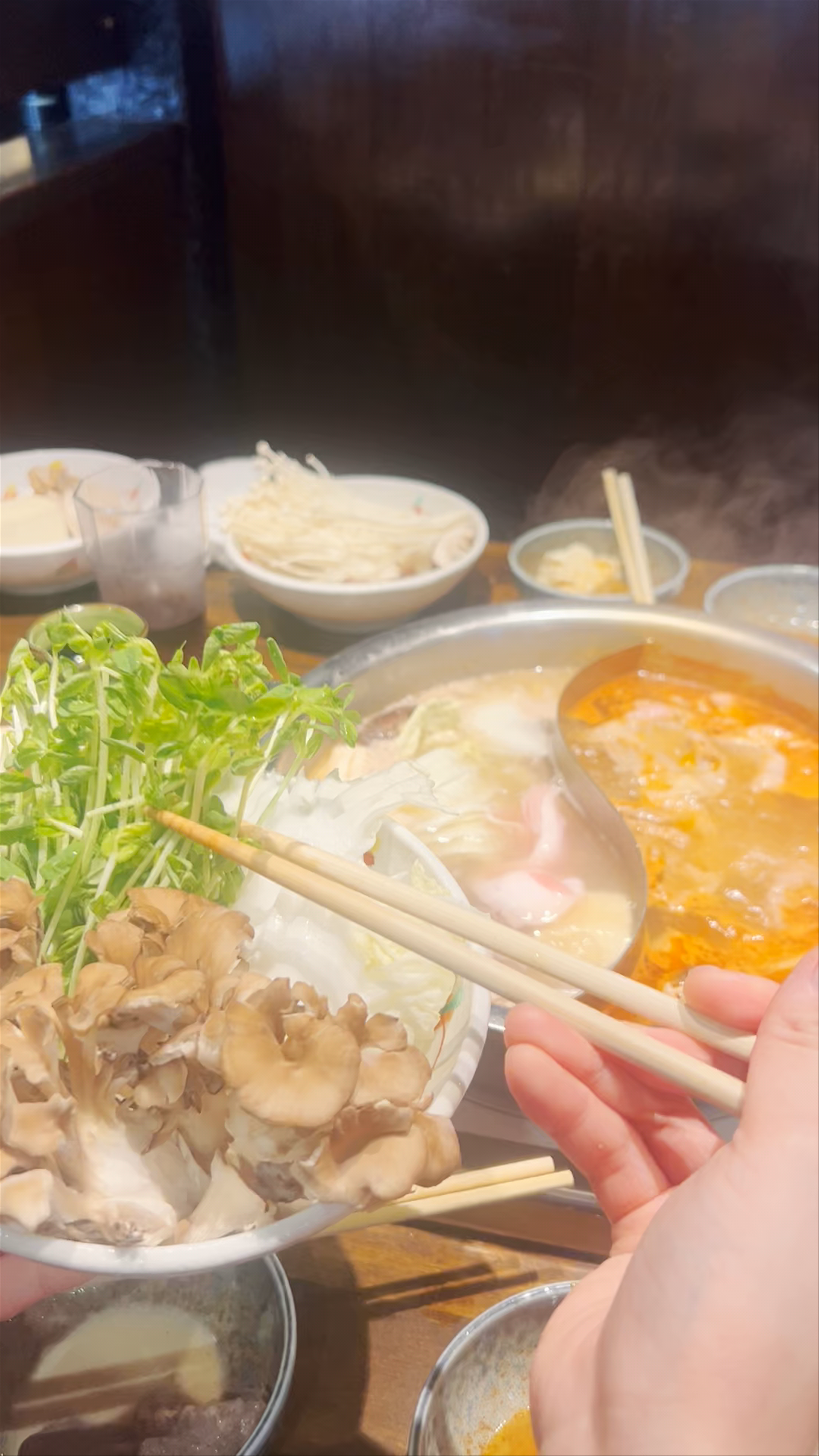 Authentic Japanese Shabu-Shabu Experience in Dotonbori, Osaka