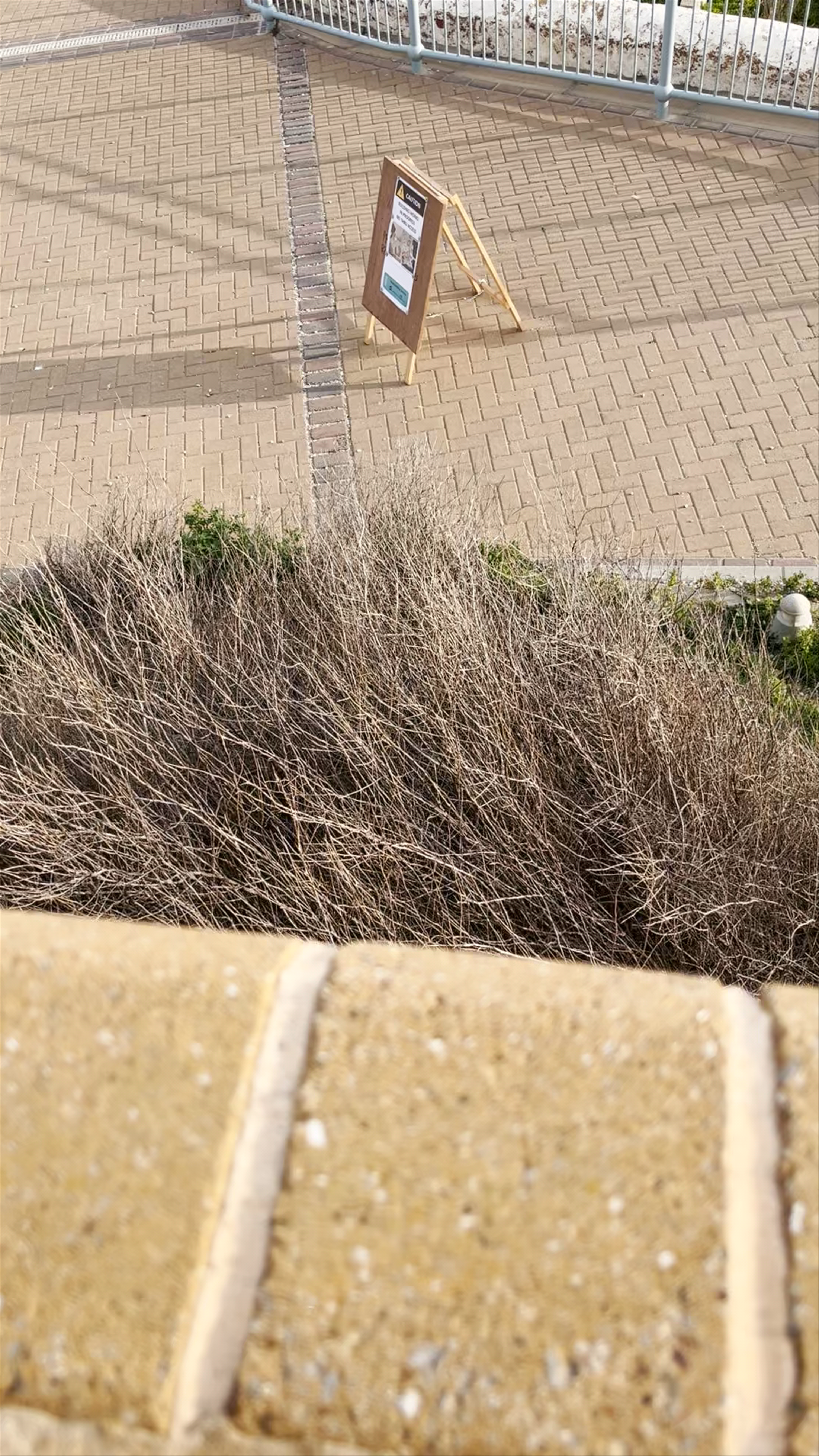 Faro de Punta Europa