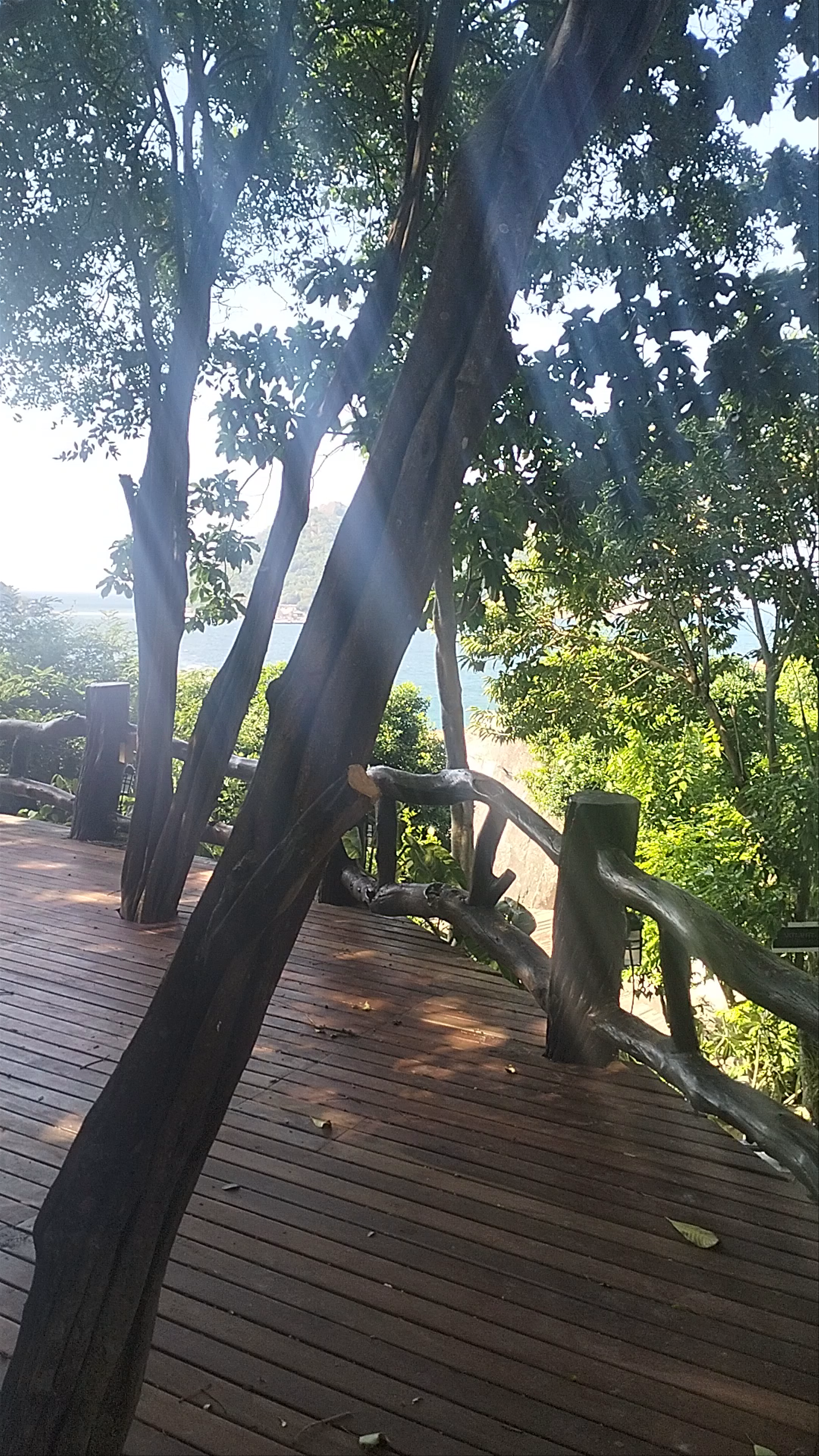 Nang Yuan Terrace: Serene Island Viewpoint in Ko Tao, Thailand