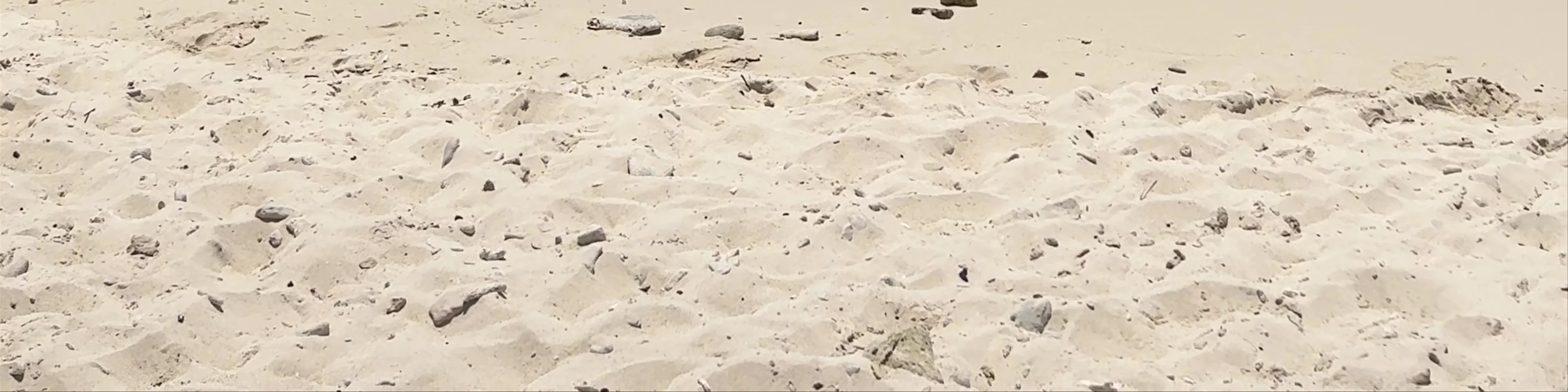 Daaibooi Beach