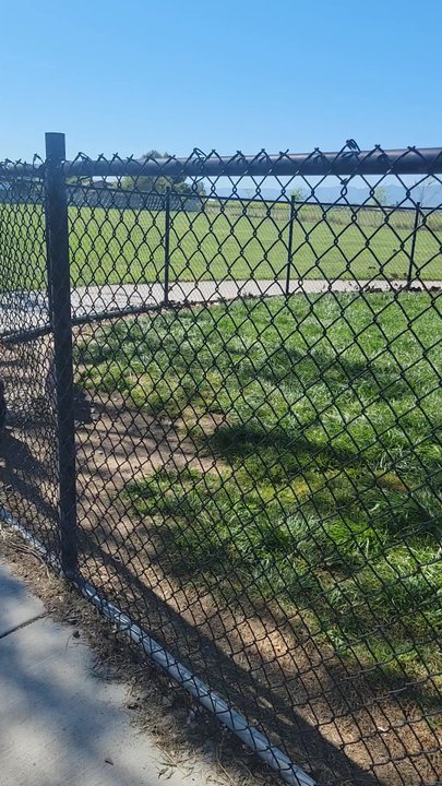 Orv's - Grassy doggy area - Gas Stations Near Me - Williams, California