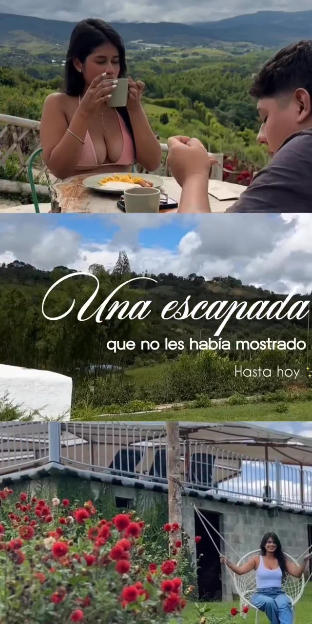 Contenido del creador