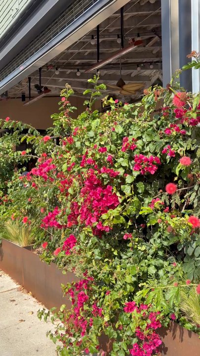 Malena - Very cute elegant and exactly what La needs. Very nice for a date night - Mexican Near Me - Los Angeles, California