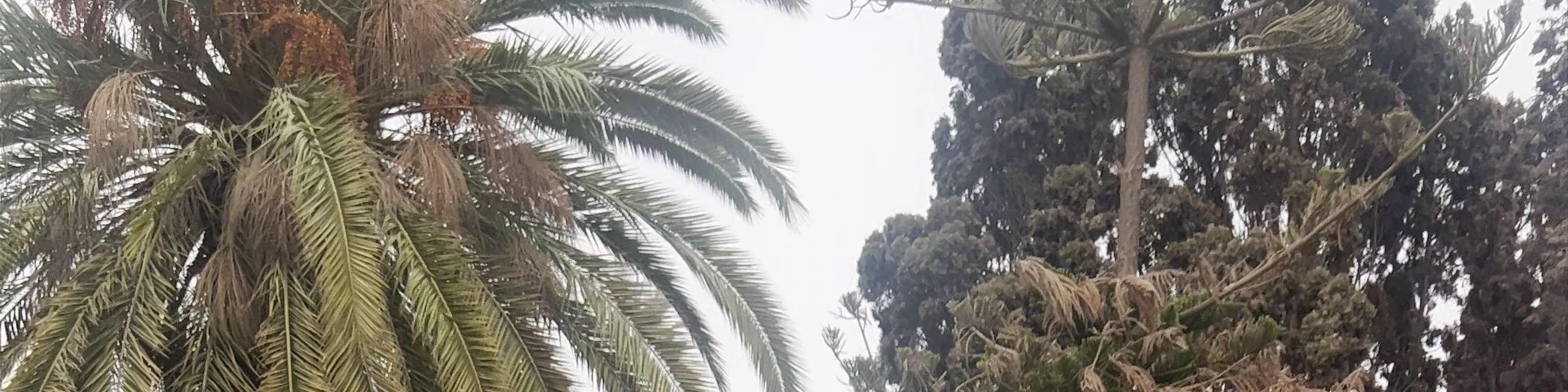 Jardin Lalla Meryem