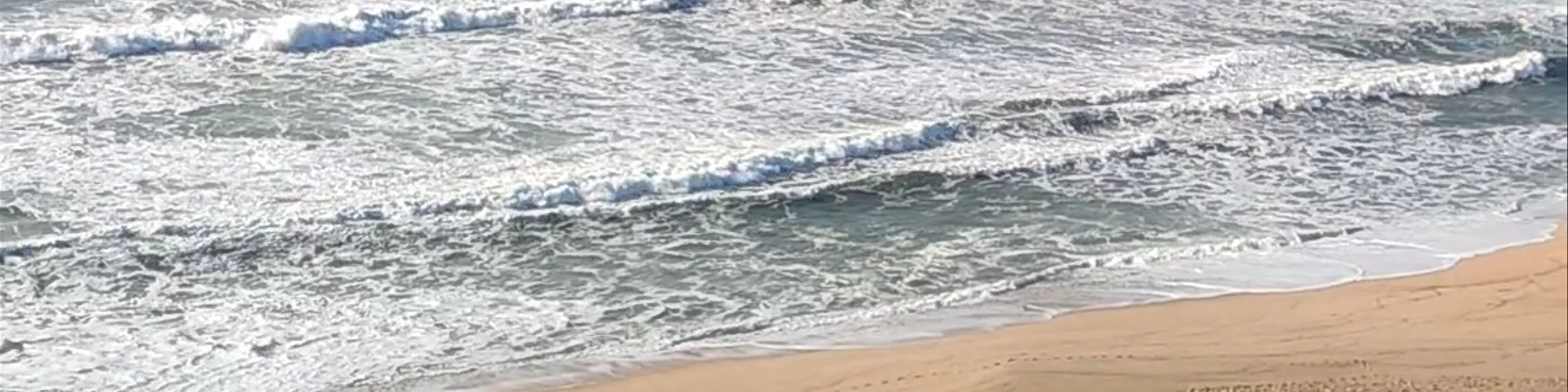 Praia das Bicas