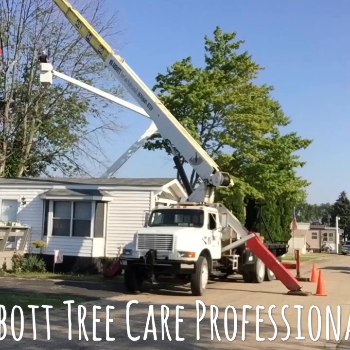 Abbott Tree Care Professionals - Tree Services Near Me - Bartlett, Illinois