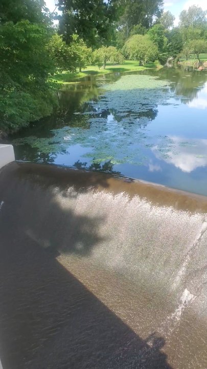Taylor Park - Parks Near Me - Millburn, New Jersey