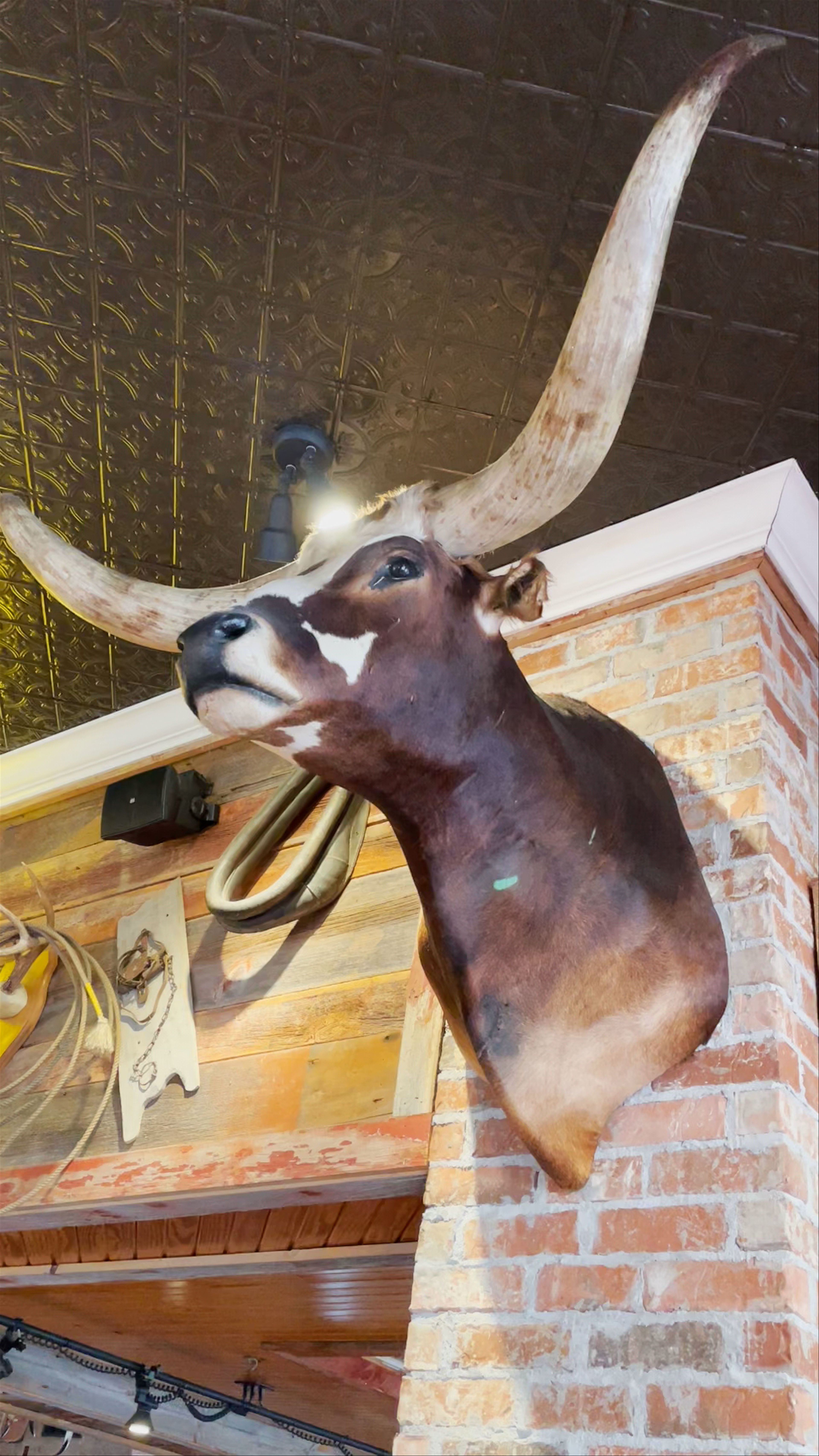 Saltgrass Steak House Experience in Dallas, Texas