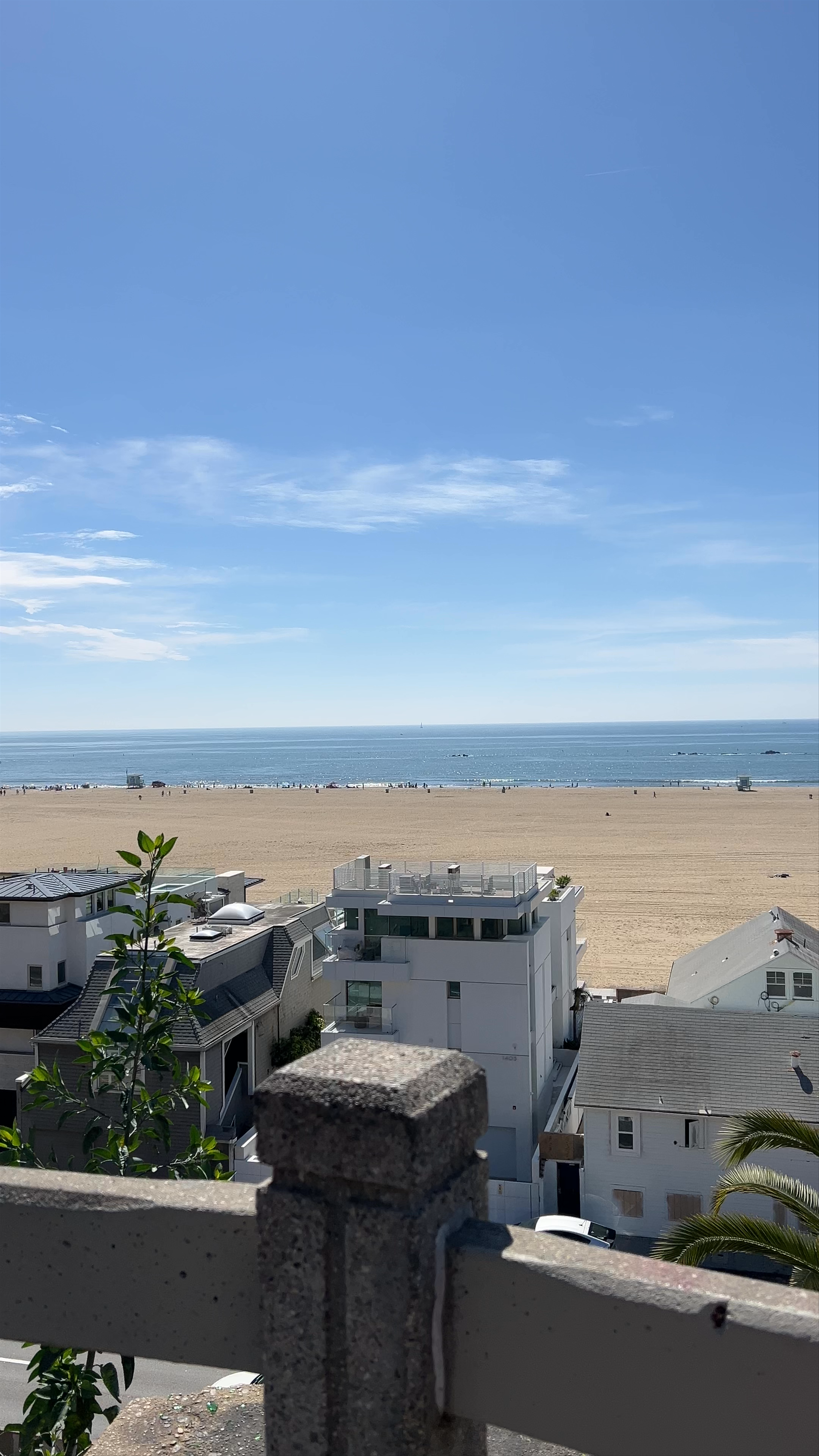 Sun-Kissed Bliss at Santa Monica State Beach
