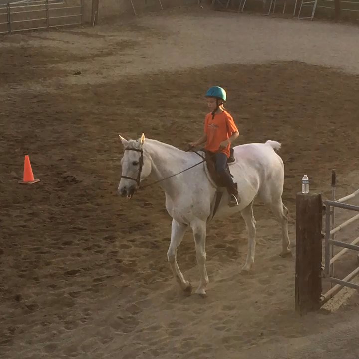 Hidden Creek Ranch - Fun English riding - Horseback Riding Near Me - Orange, California