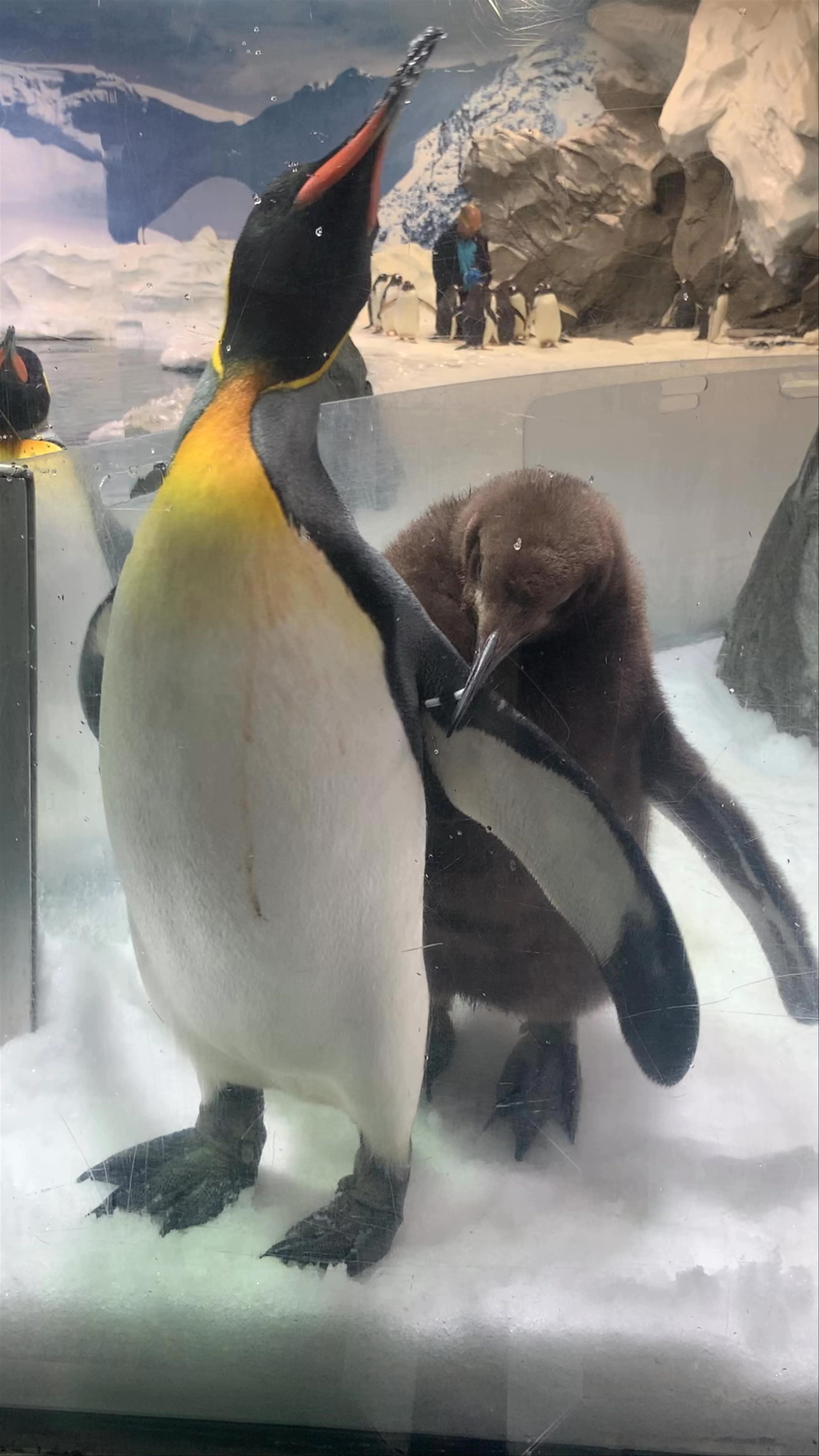 Sea World