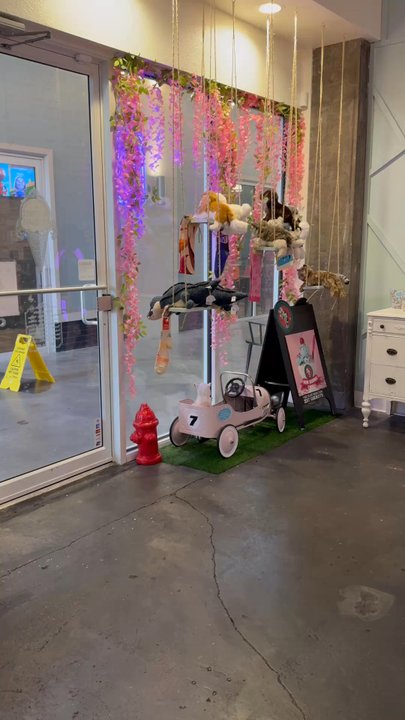 Delectable Delights - A quick look at the lovely shoppe! - Toy Stores Near Me - Winter Haven, Florida