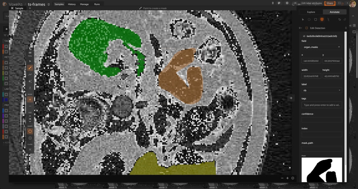 Create segmentation masks with SAM2 click-to-segment