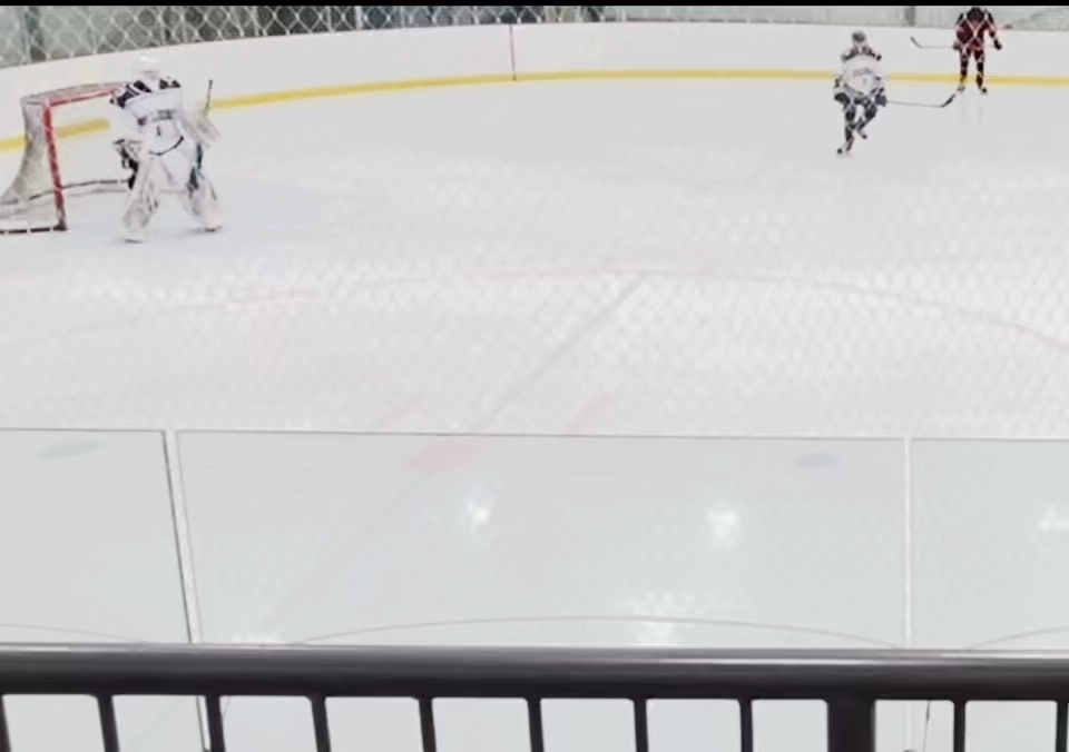 2010 Spring hockey game highlights