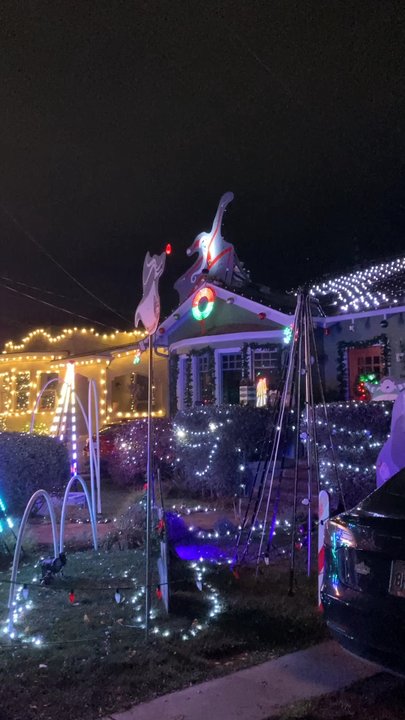 Christmas Tree Lane - Local Flavor Near Me - Alameda, California