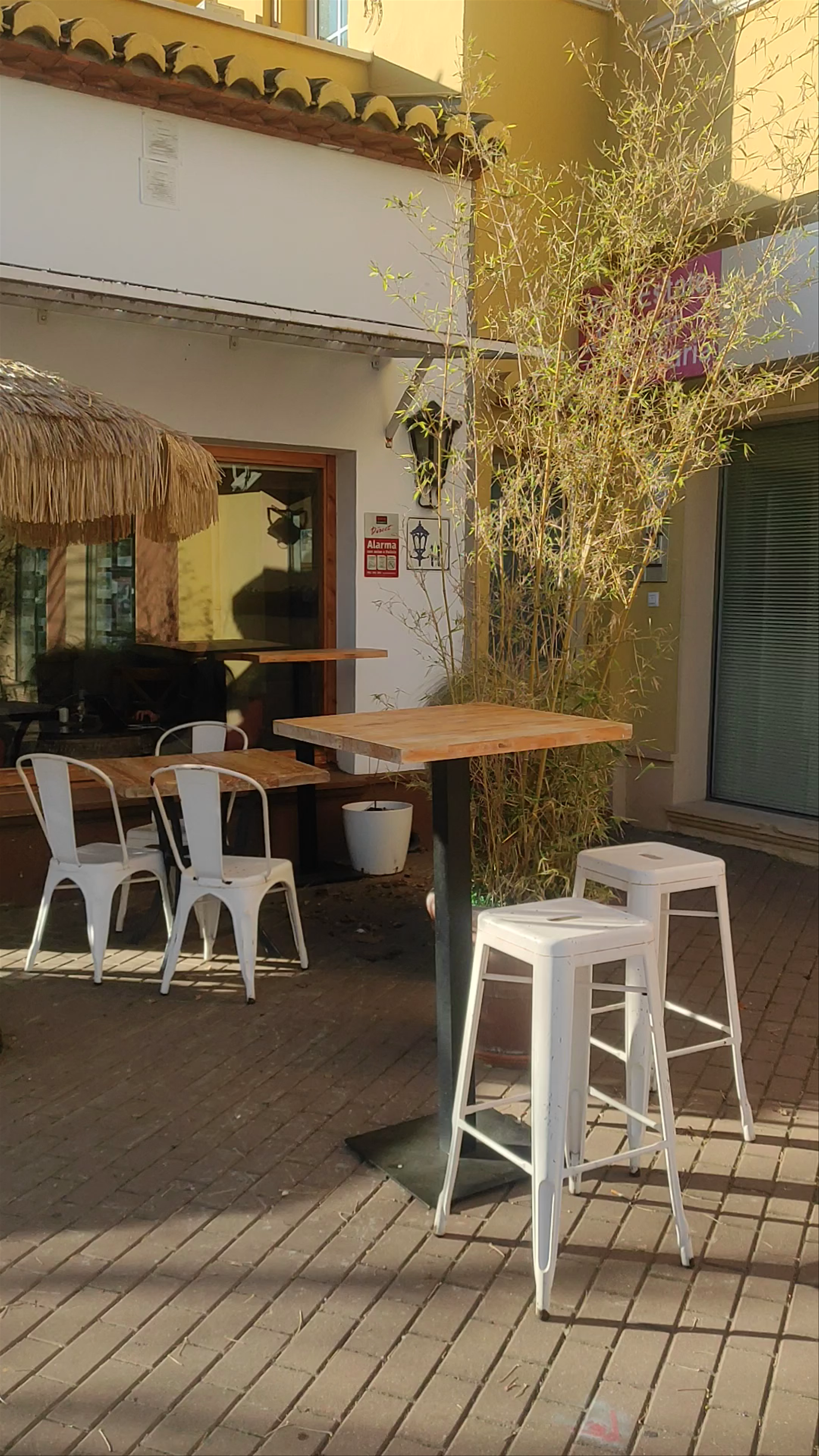 Sunny Outdoor Café Vibes at Chola&Cacao, Cholapur