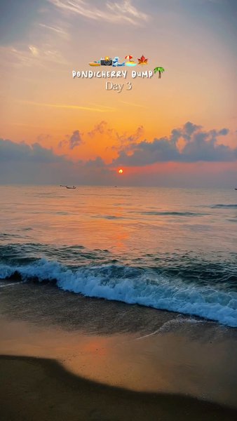 Photo of Pichavaram Mangroves