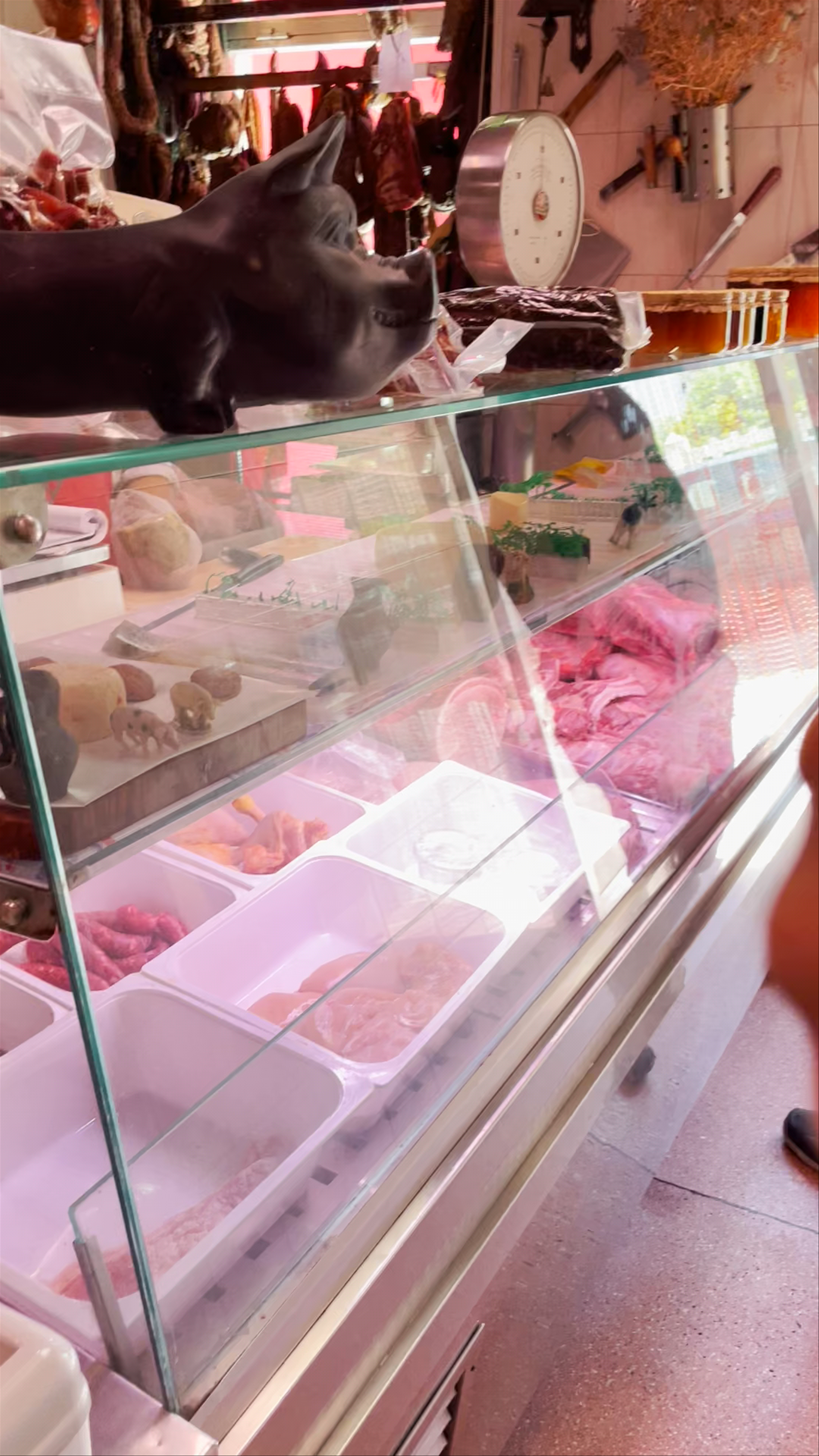 Qualifer - Quinta das Barrocas