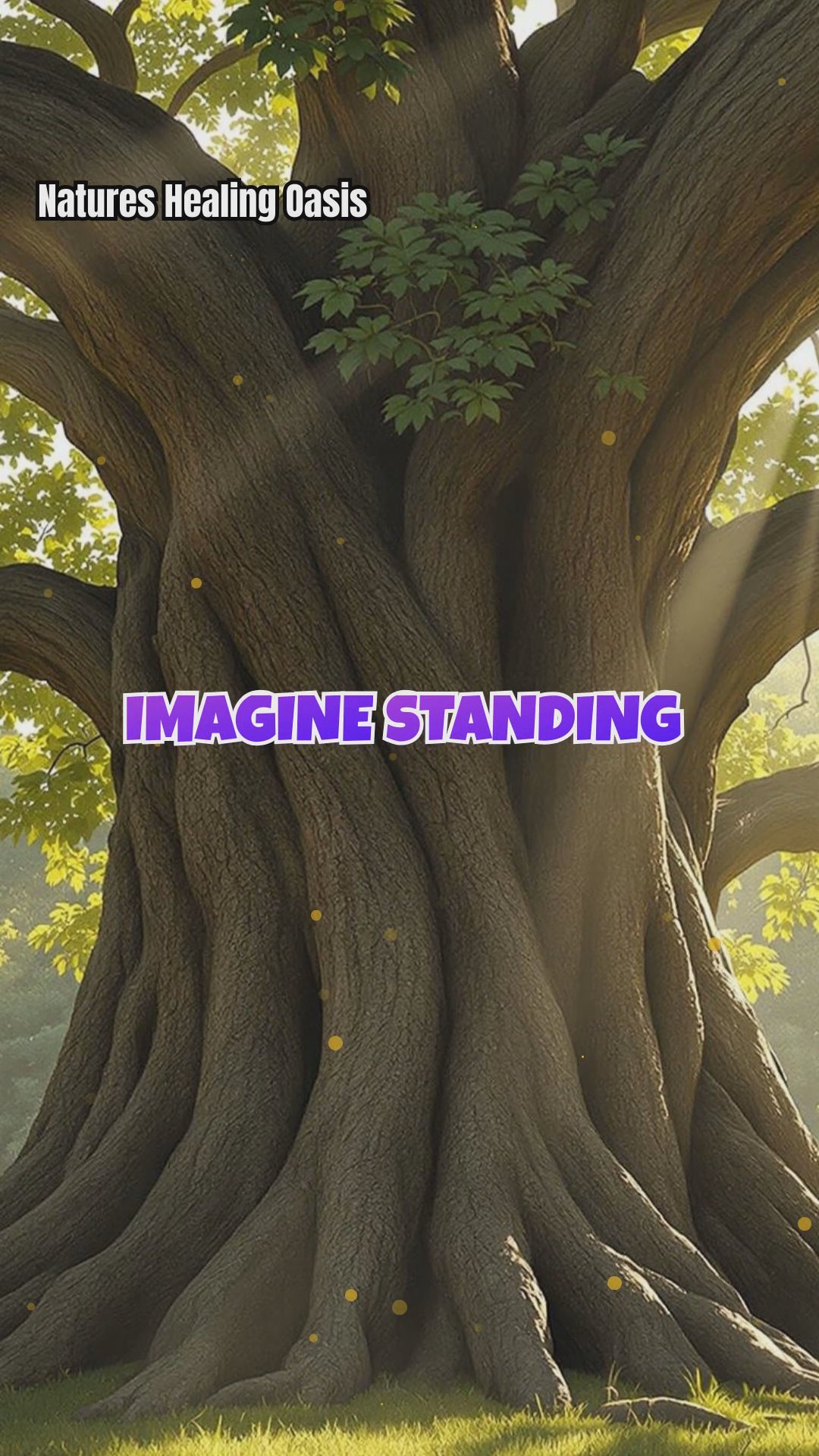 Tree Energy and Mindfulness: Techniques for Attuning to Tree Energies During Meditation