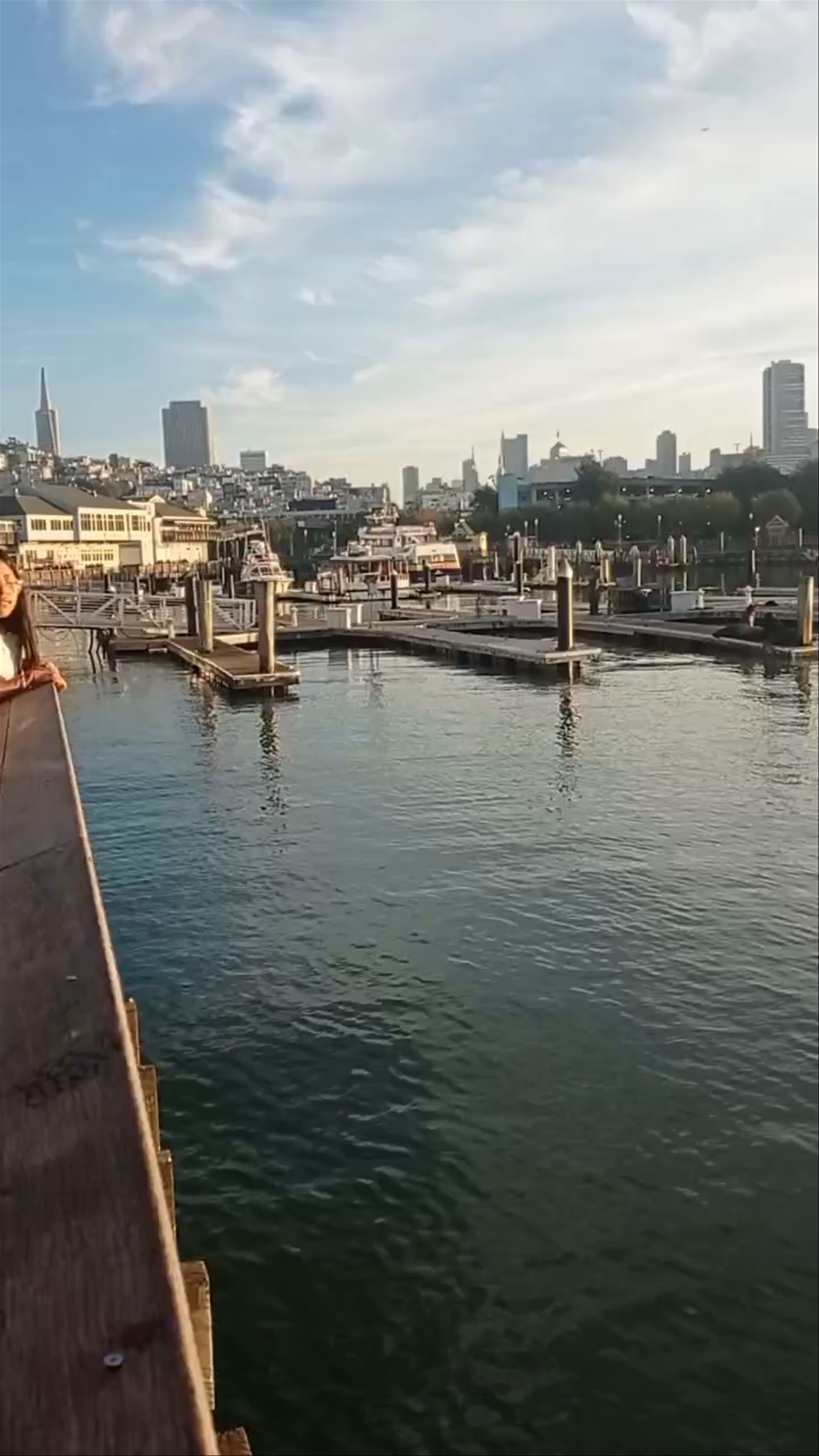 Pier 39 at Sunset: Iconic San Francisco Waterfront Experience