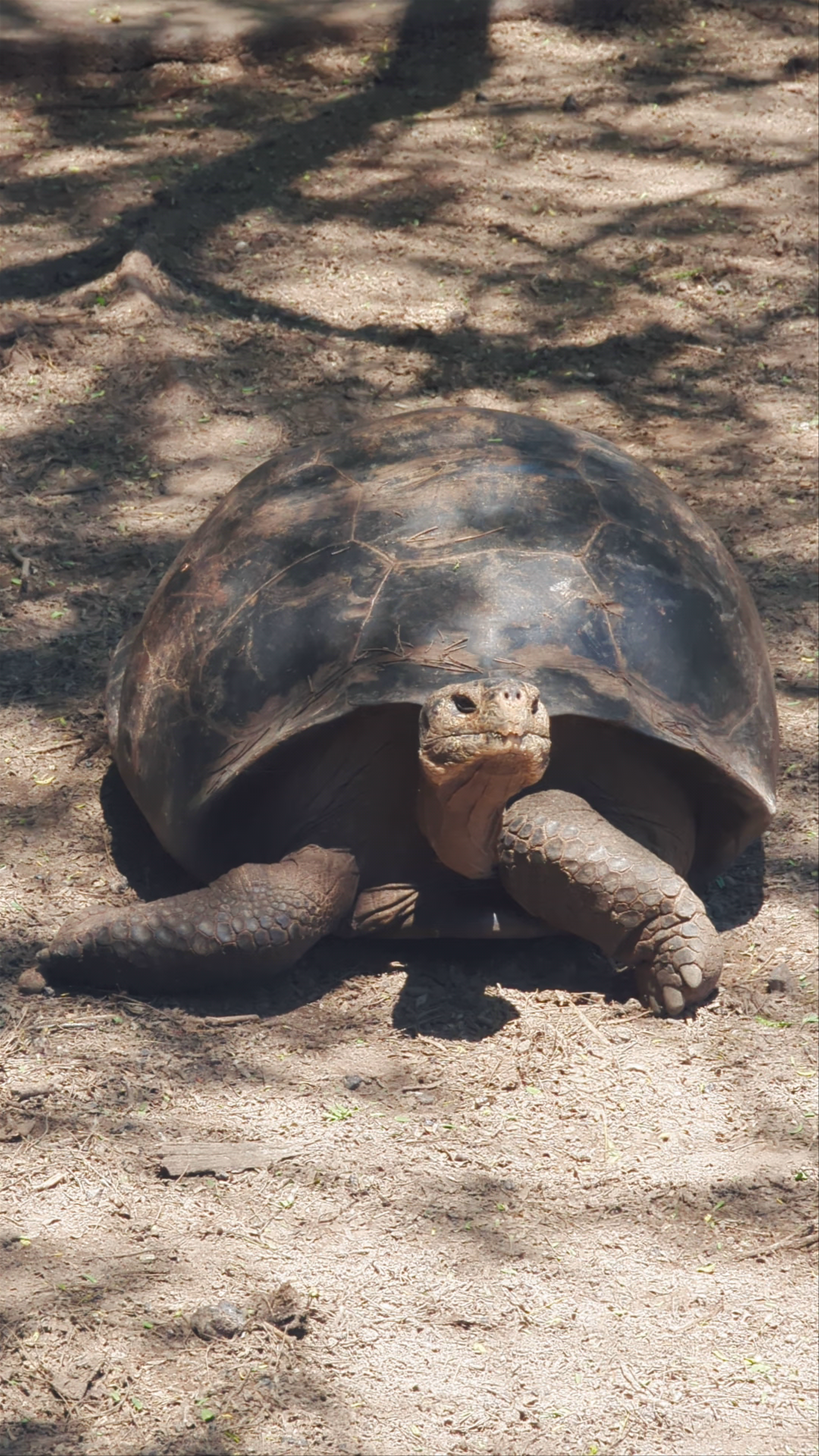 Charles Darwin Research Station