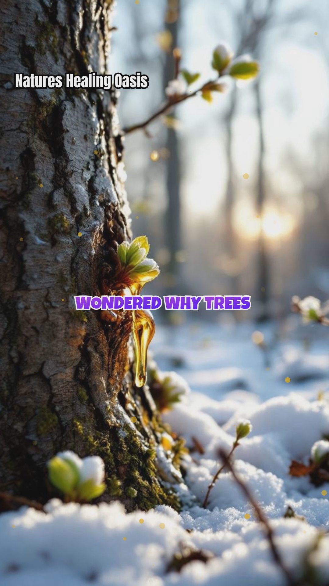 Spring's Sap Surge: Nature's Emotional Revival