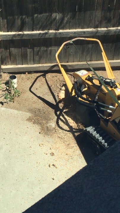 Arborn Tree Care - Tree Services Near Me - Ceres, California