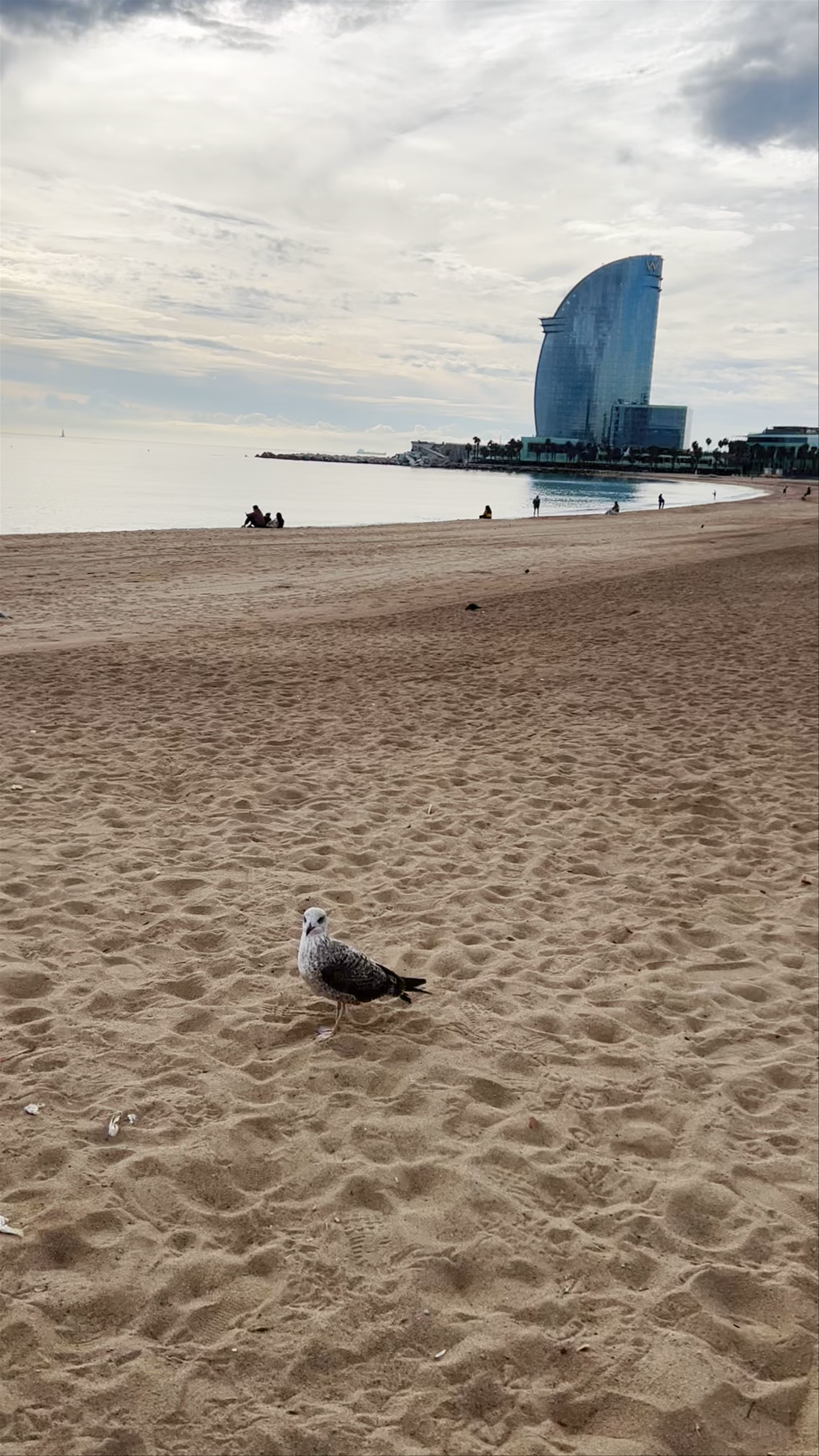 Peaceful Morning at Platja de Sant Miquel, Barcelona