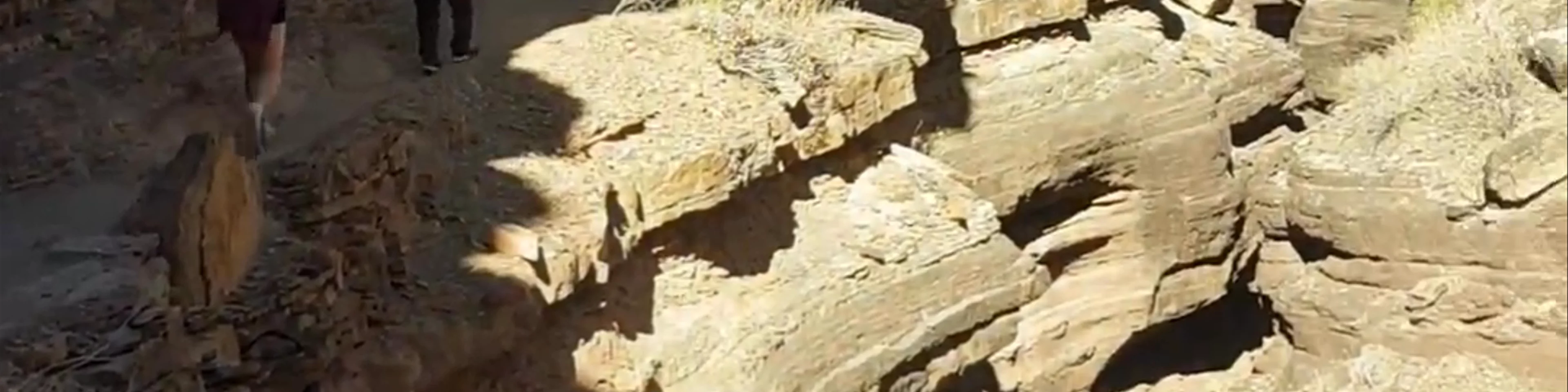 Grand Canyon National Park