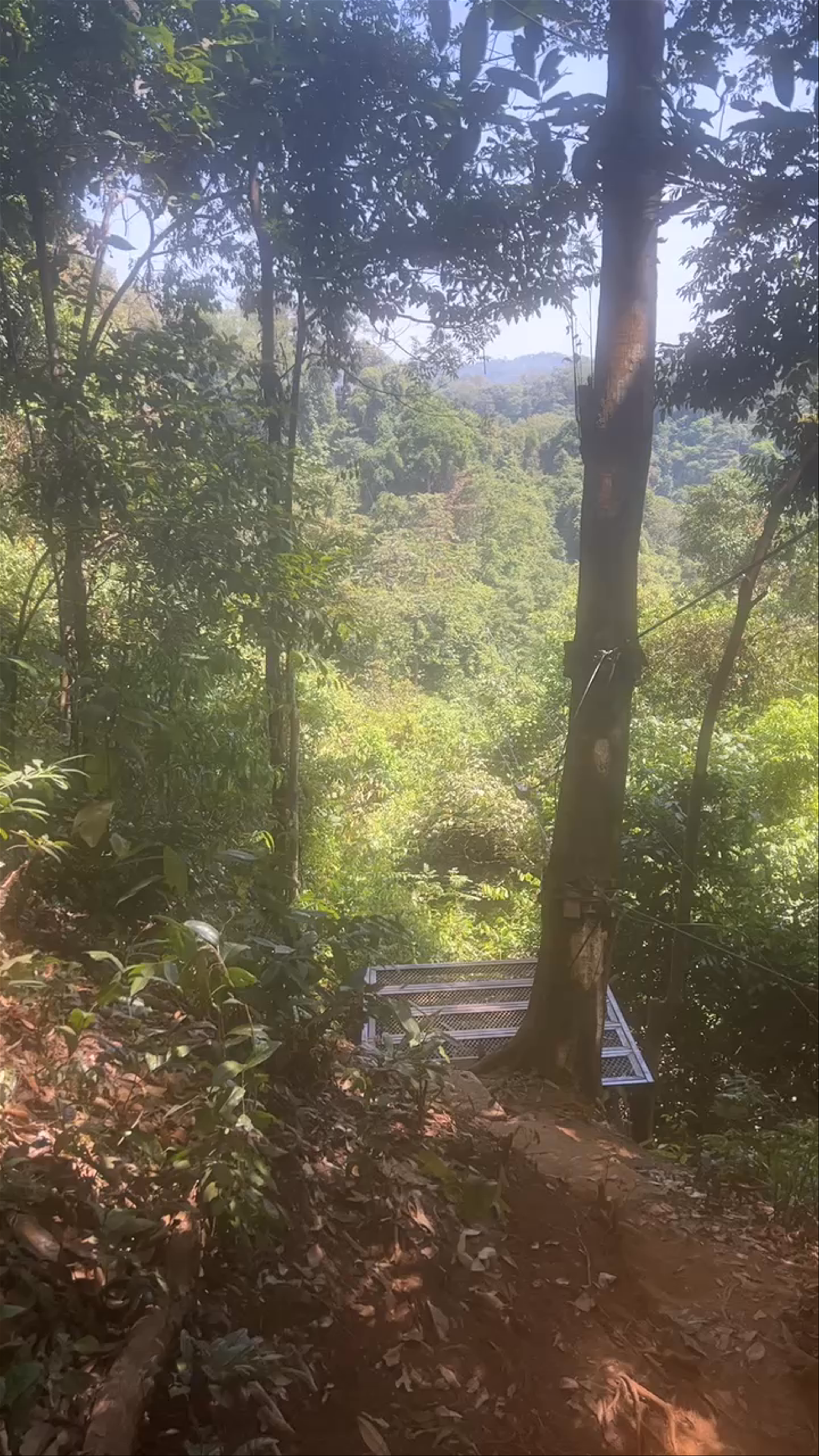 Zipline tadfane โหนสลิงตาดฟาน Paksong KM38