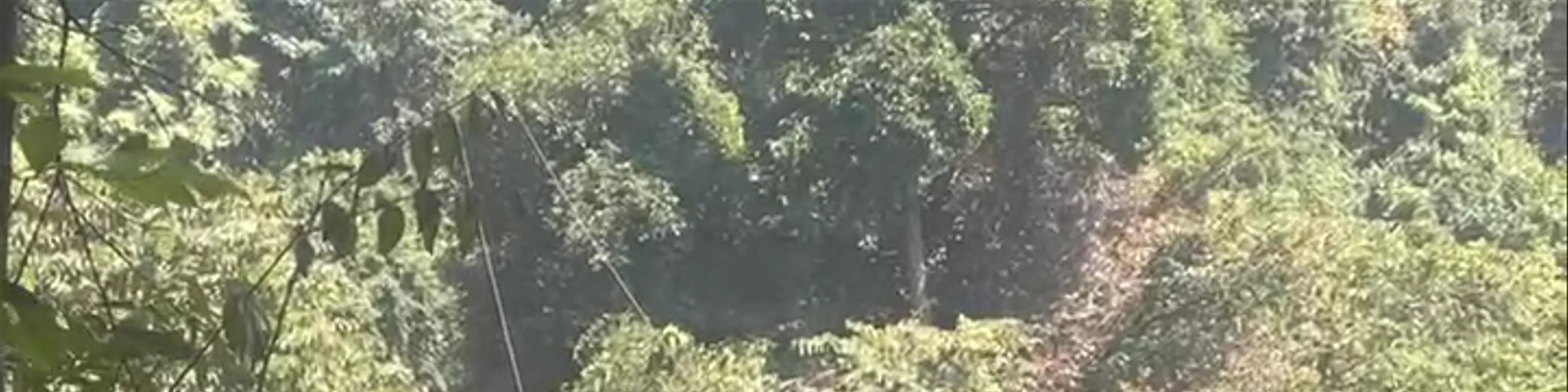 Zipline tadfane โหนสลิงตาดฟาน Paksong KM38