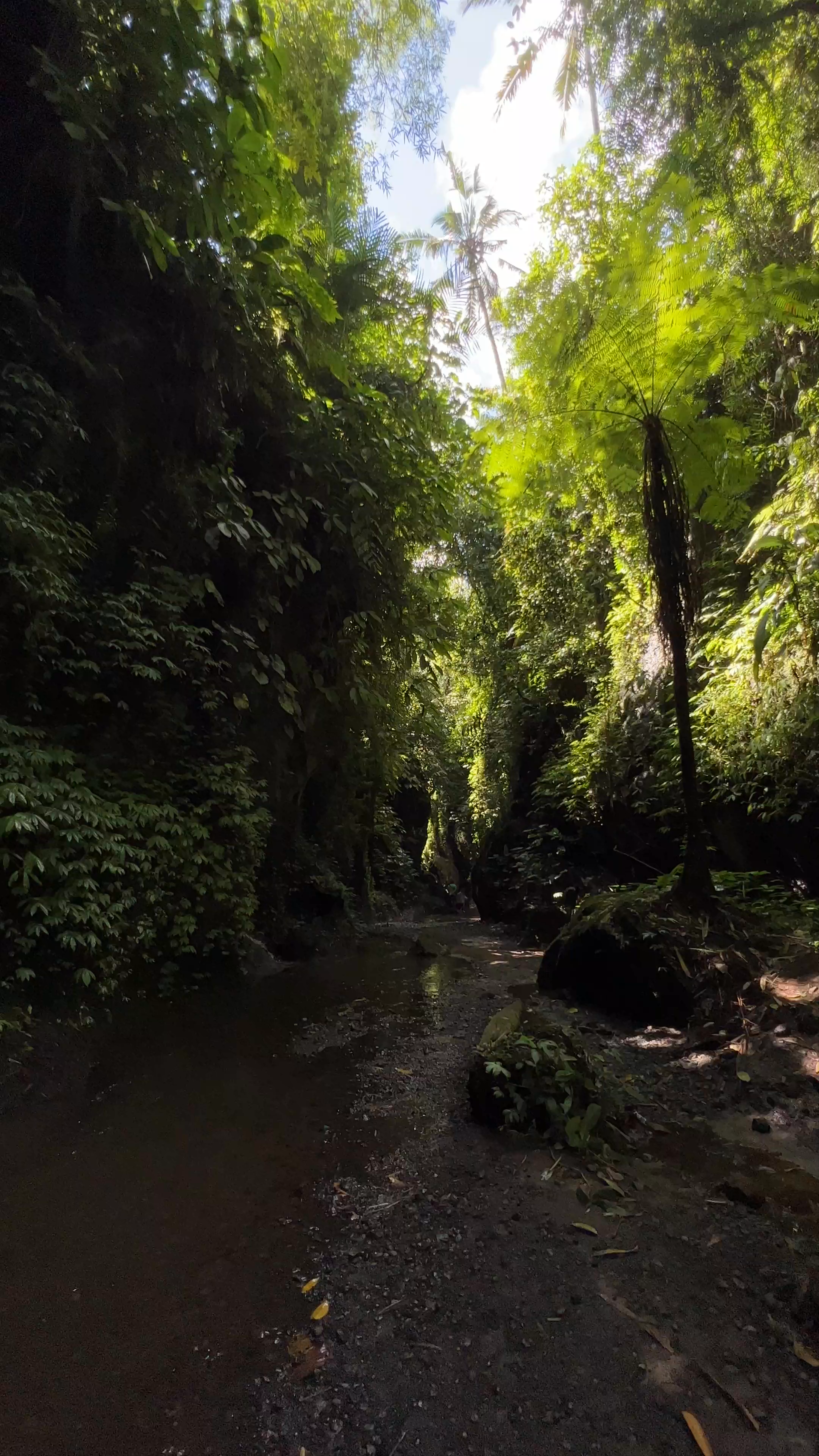 Tukad Cepung Waterfall