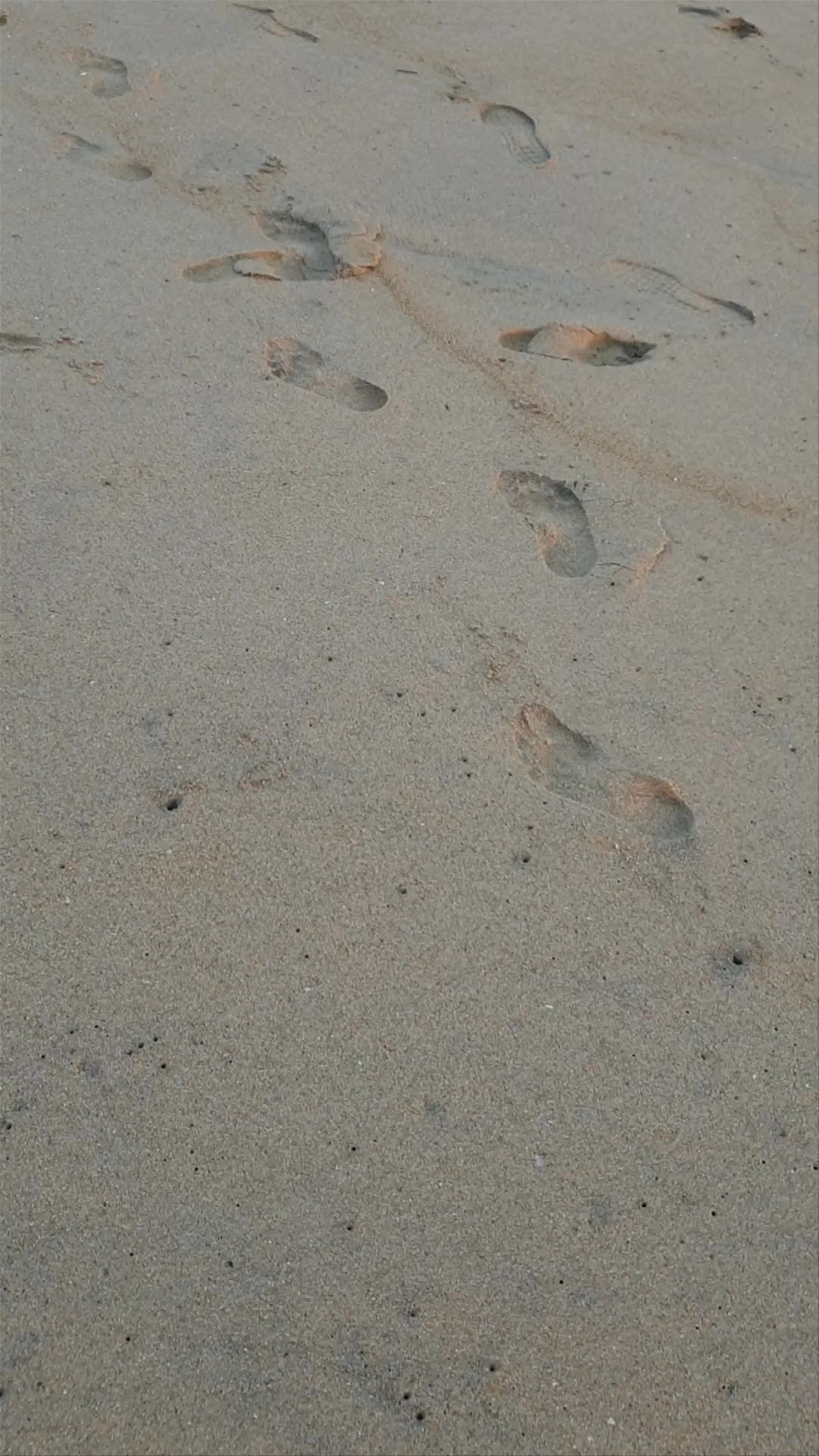 Playa Bacocho