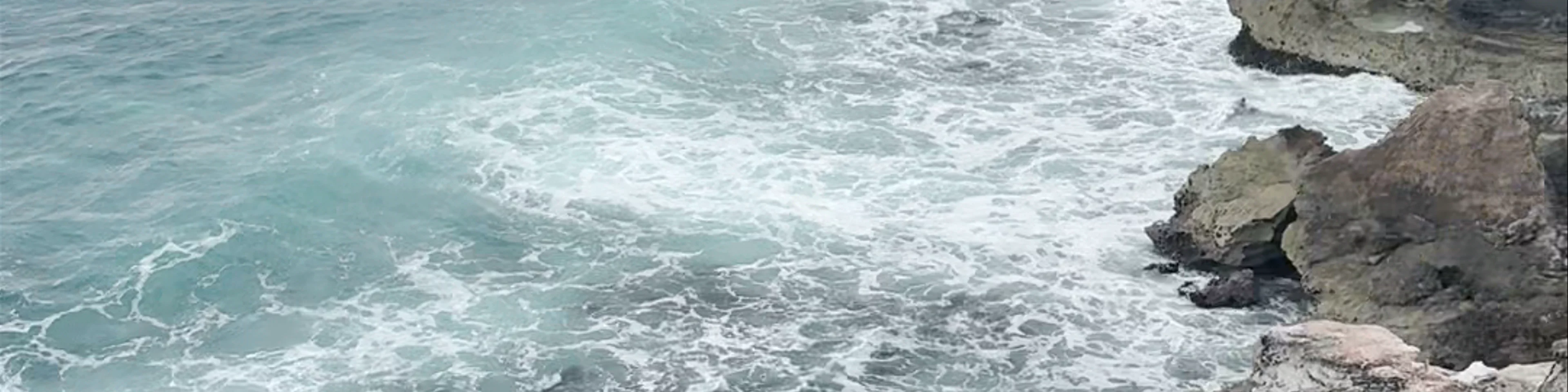 Punta Sur