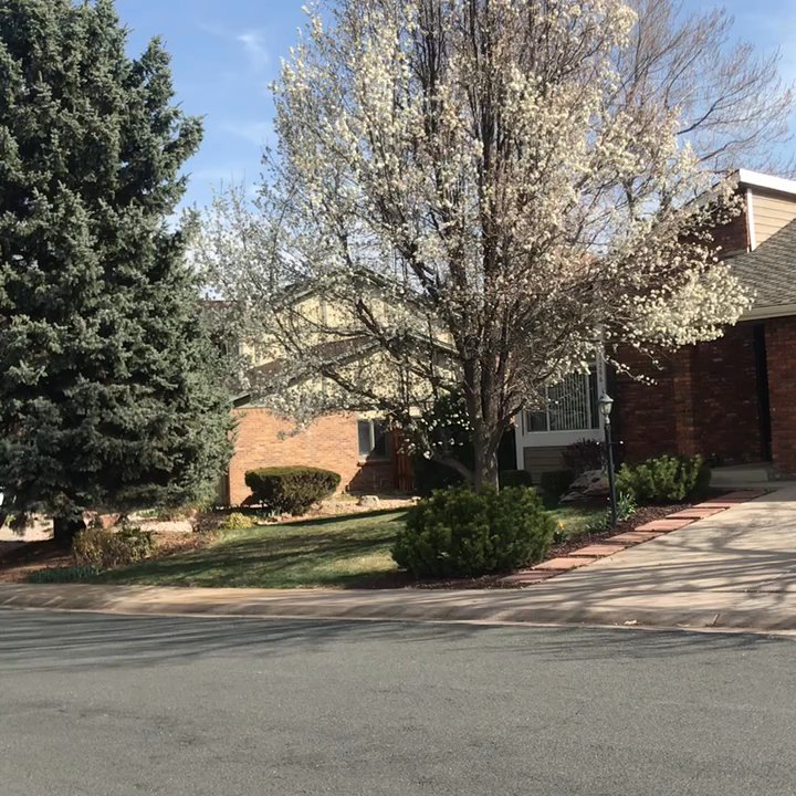 Danielle Witte - The Next Door Team - Raritan St for sale in The Ranch Neighborhood - Real Estate Agents Near Me