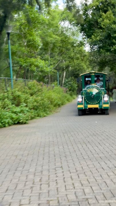 Bosque de Chapultepec - Tren Escénico de Chapultepec - Parks Near Me - Ciudad de México, DIF
