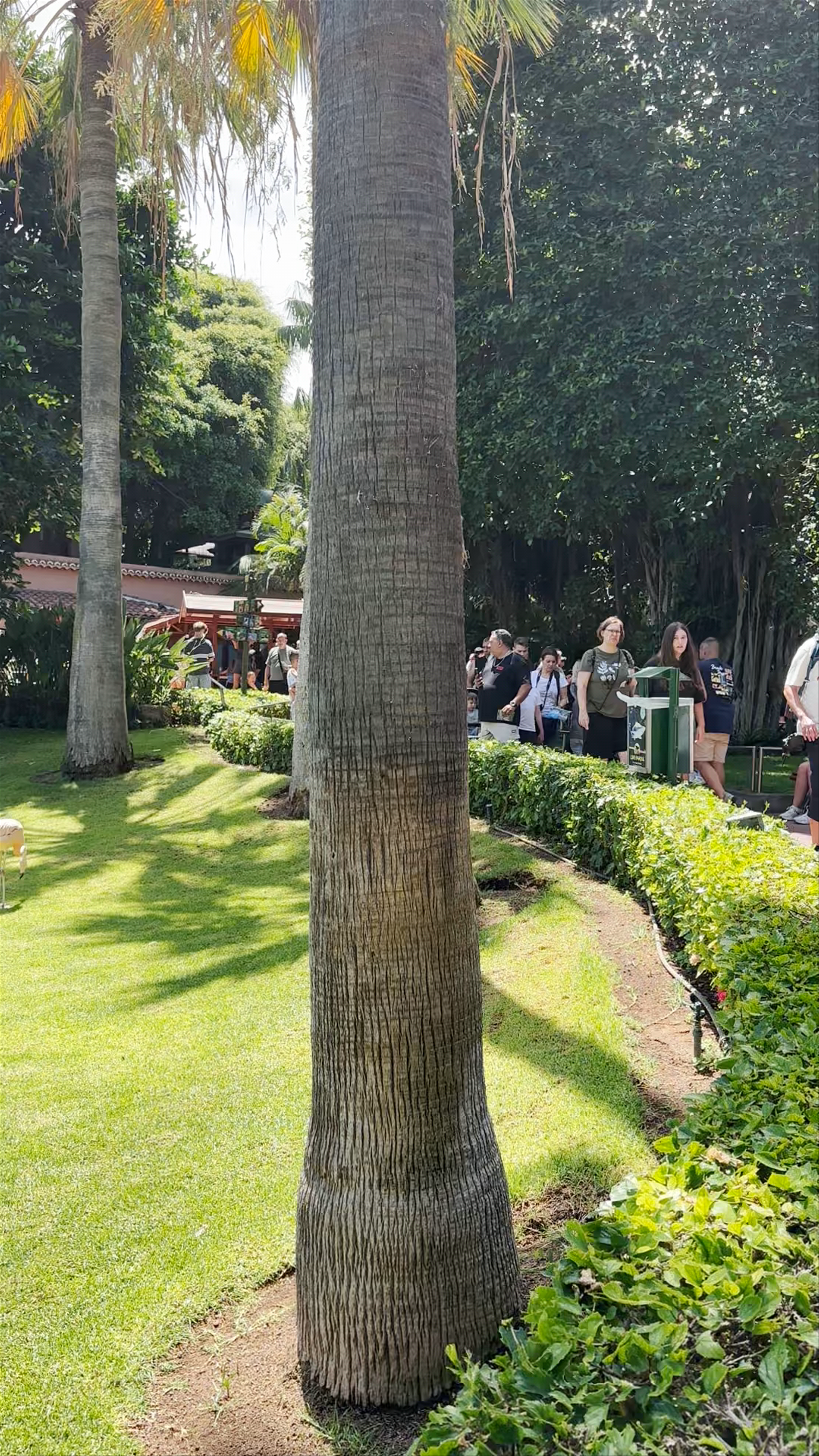 Loro Parque