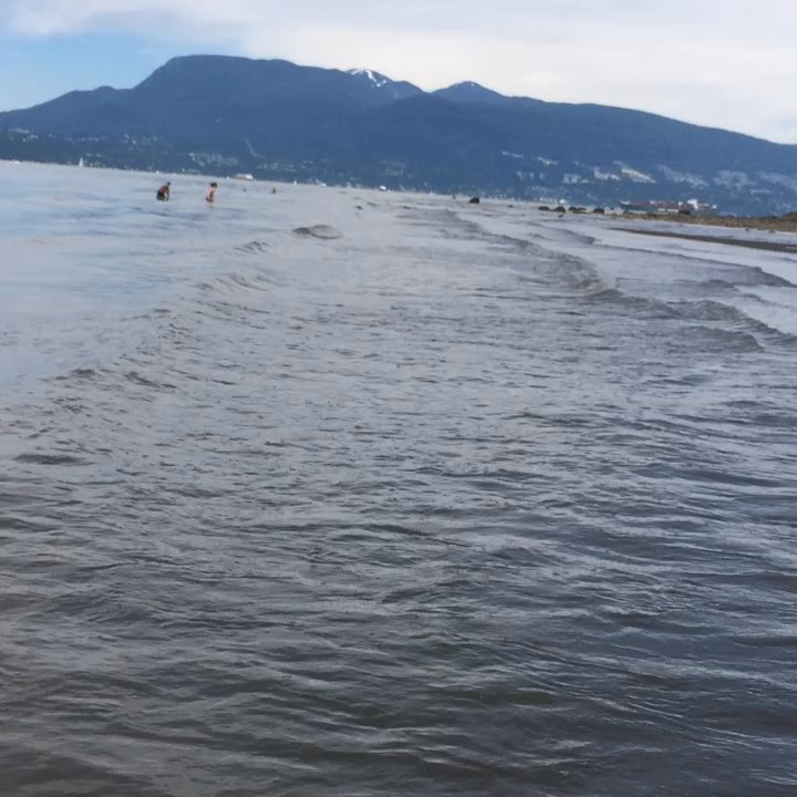 Tower Beach - Beaches Near Me - Vancouver, British Columbia