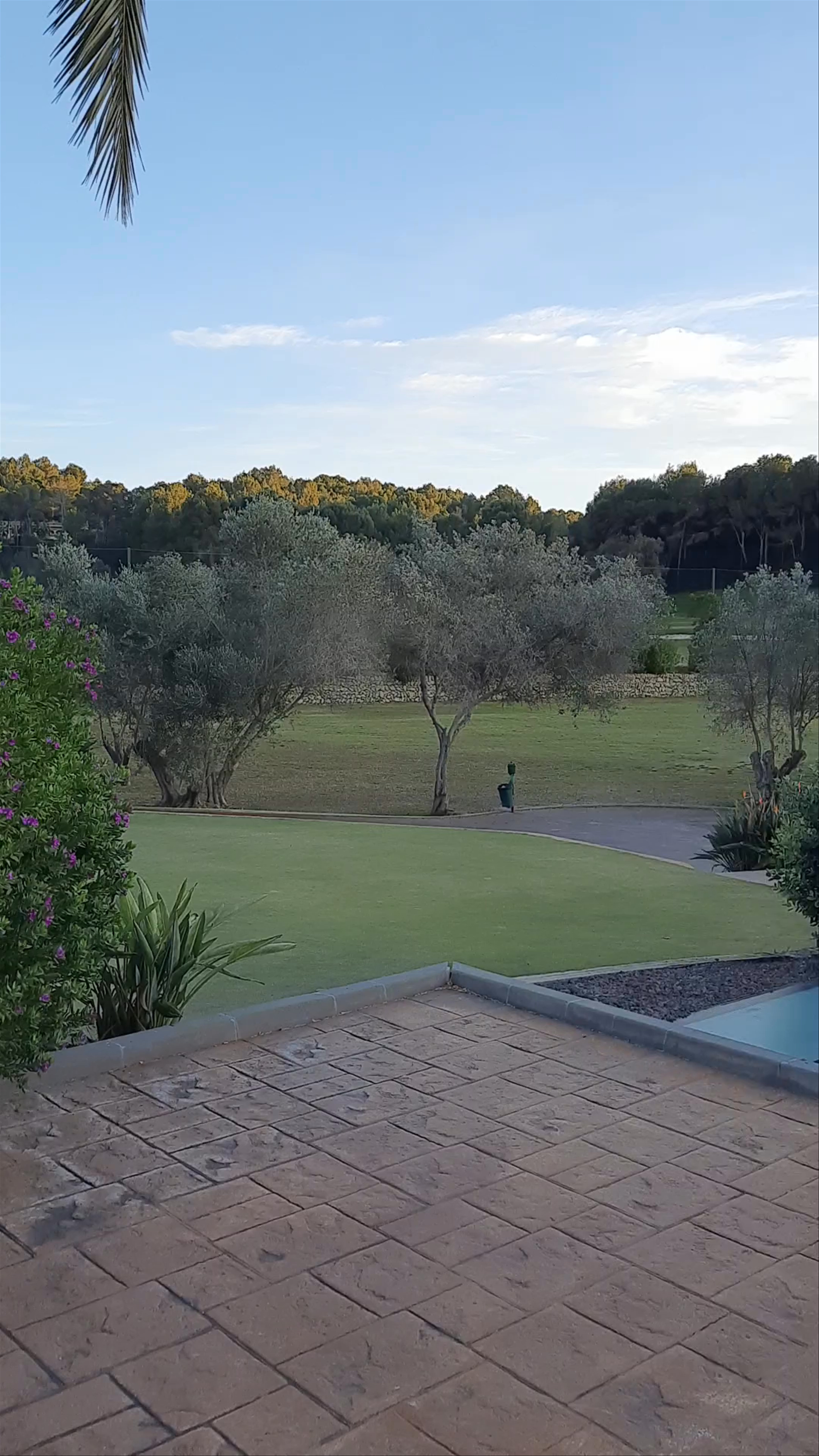 Dénia Marriott La Sella Golf Resort & Spa: Serene Luxury in Comunidad Valenciana