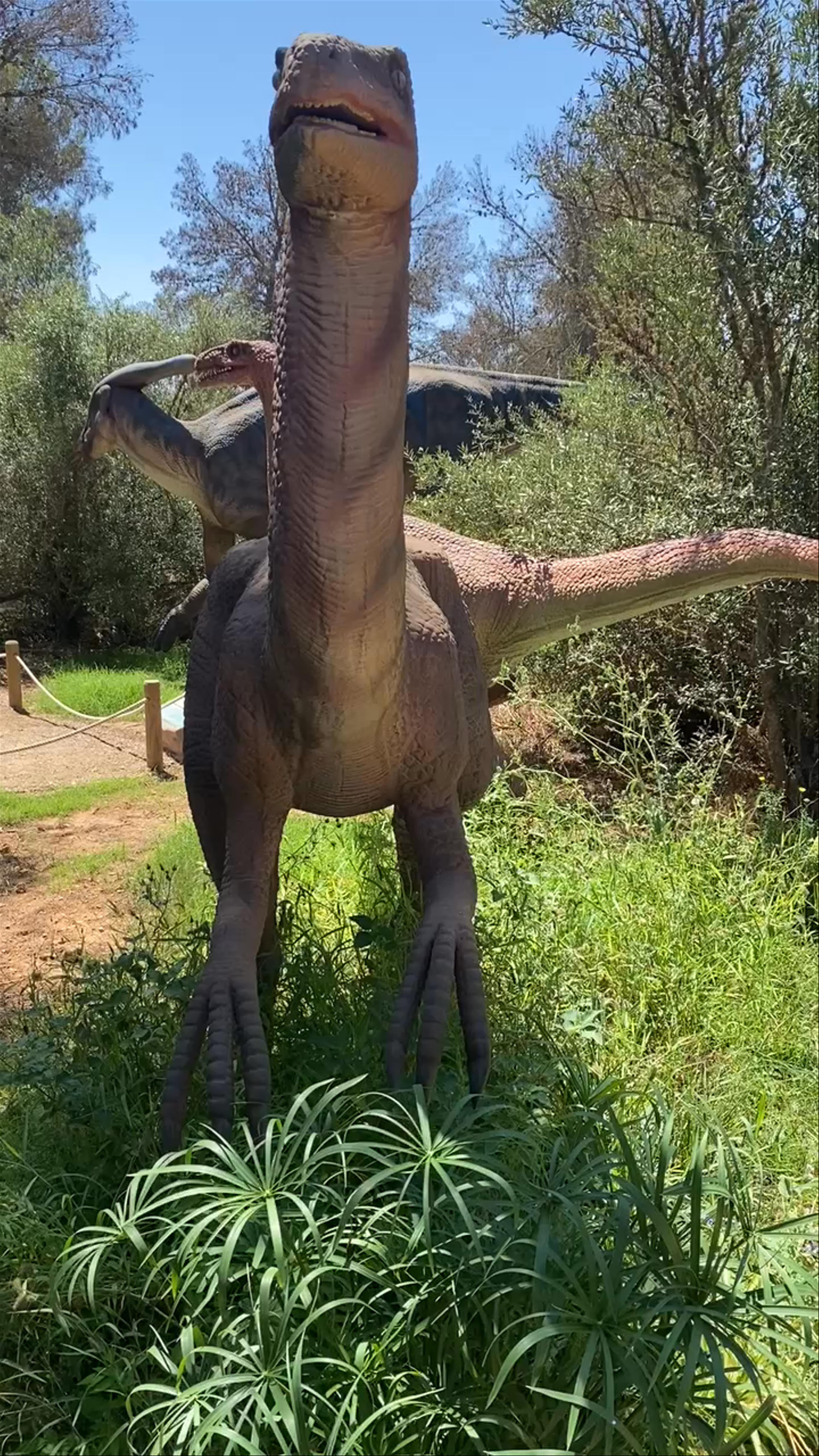 Dinosaurland