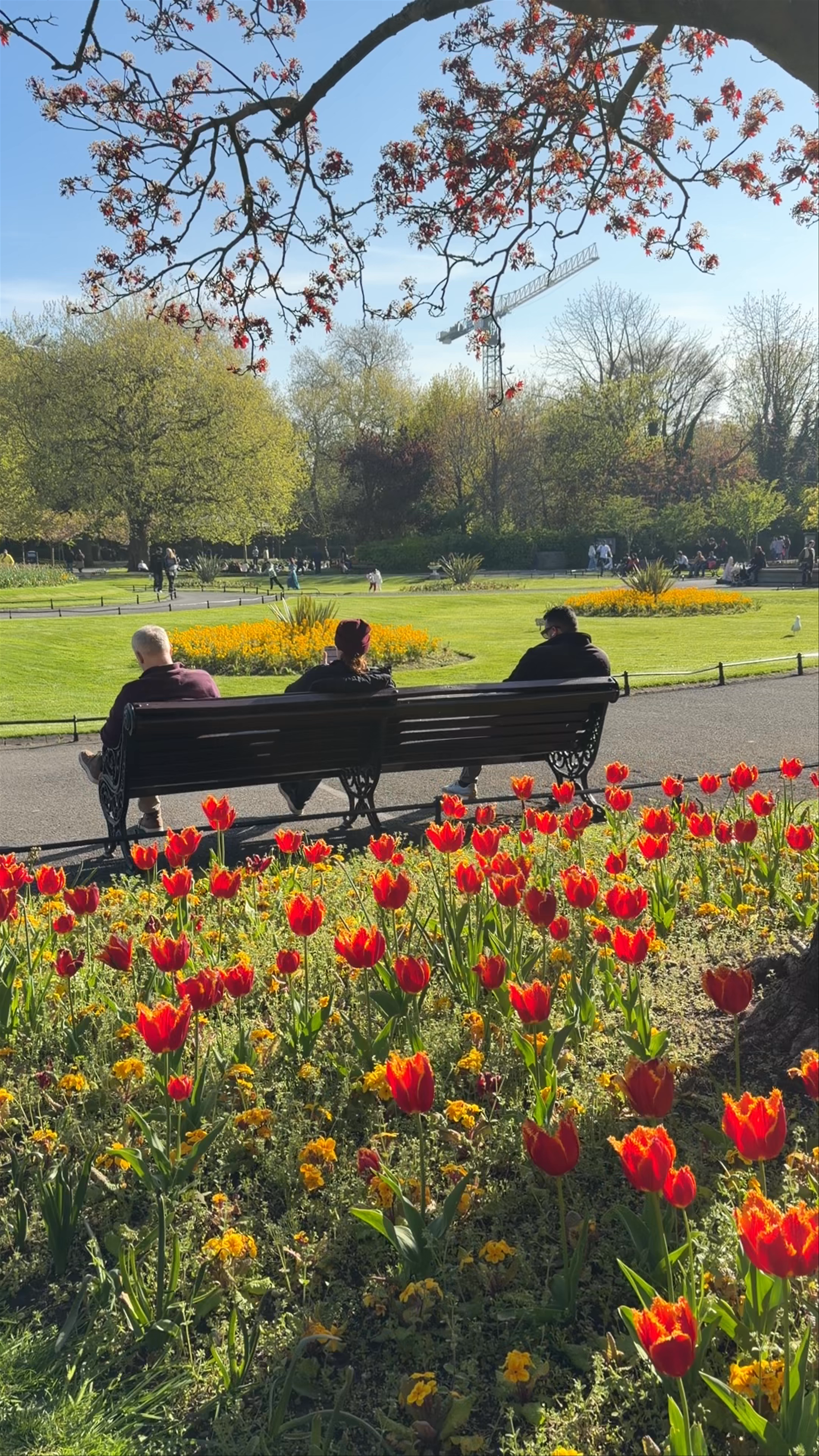 St Stephen's Green