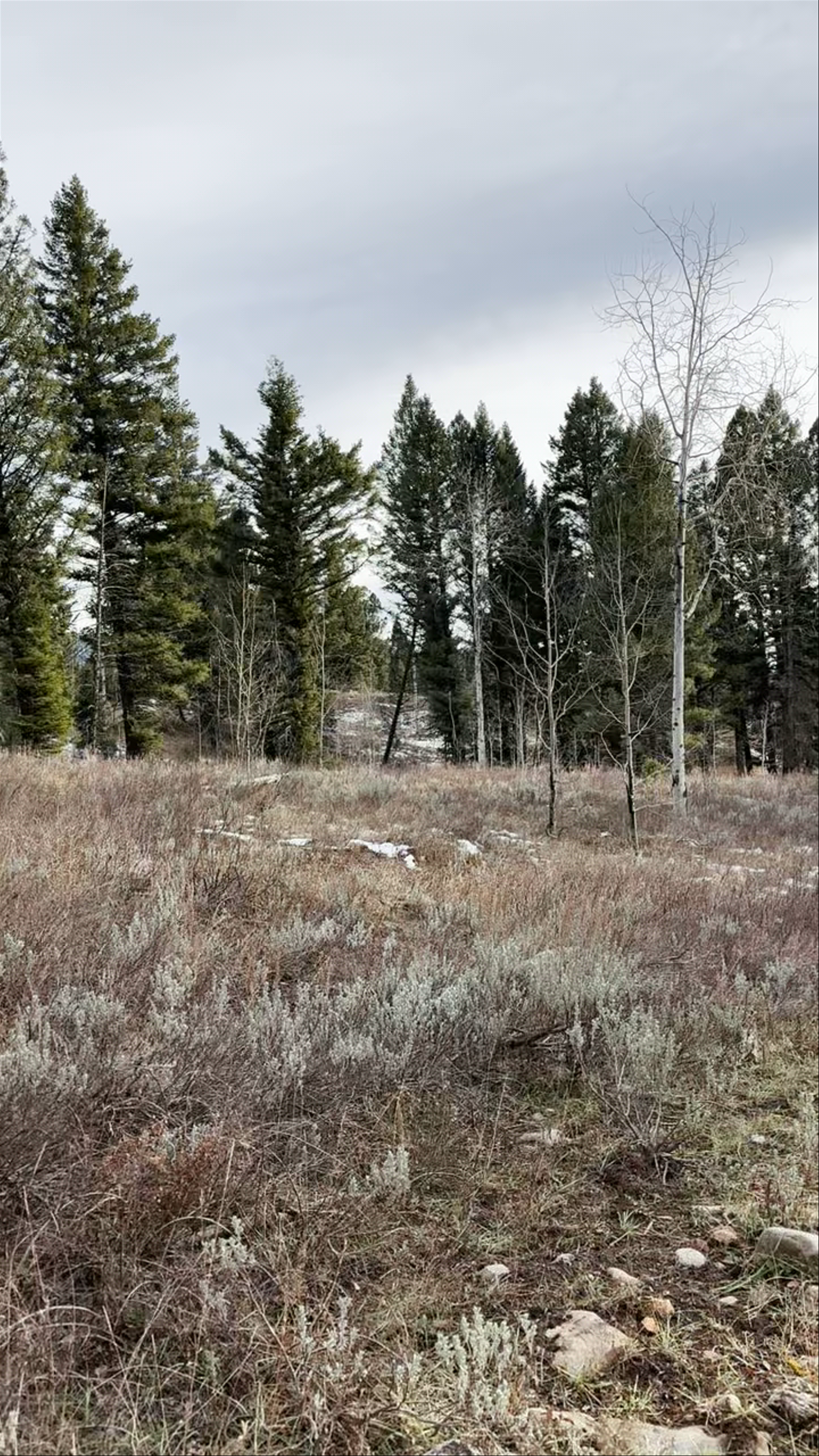 Targhee Creek Trailhead