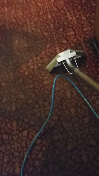 White Glove Carpet Cleaning - Carpet Cleaning Near Me - Bear, Delaware